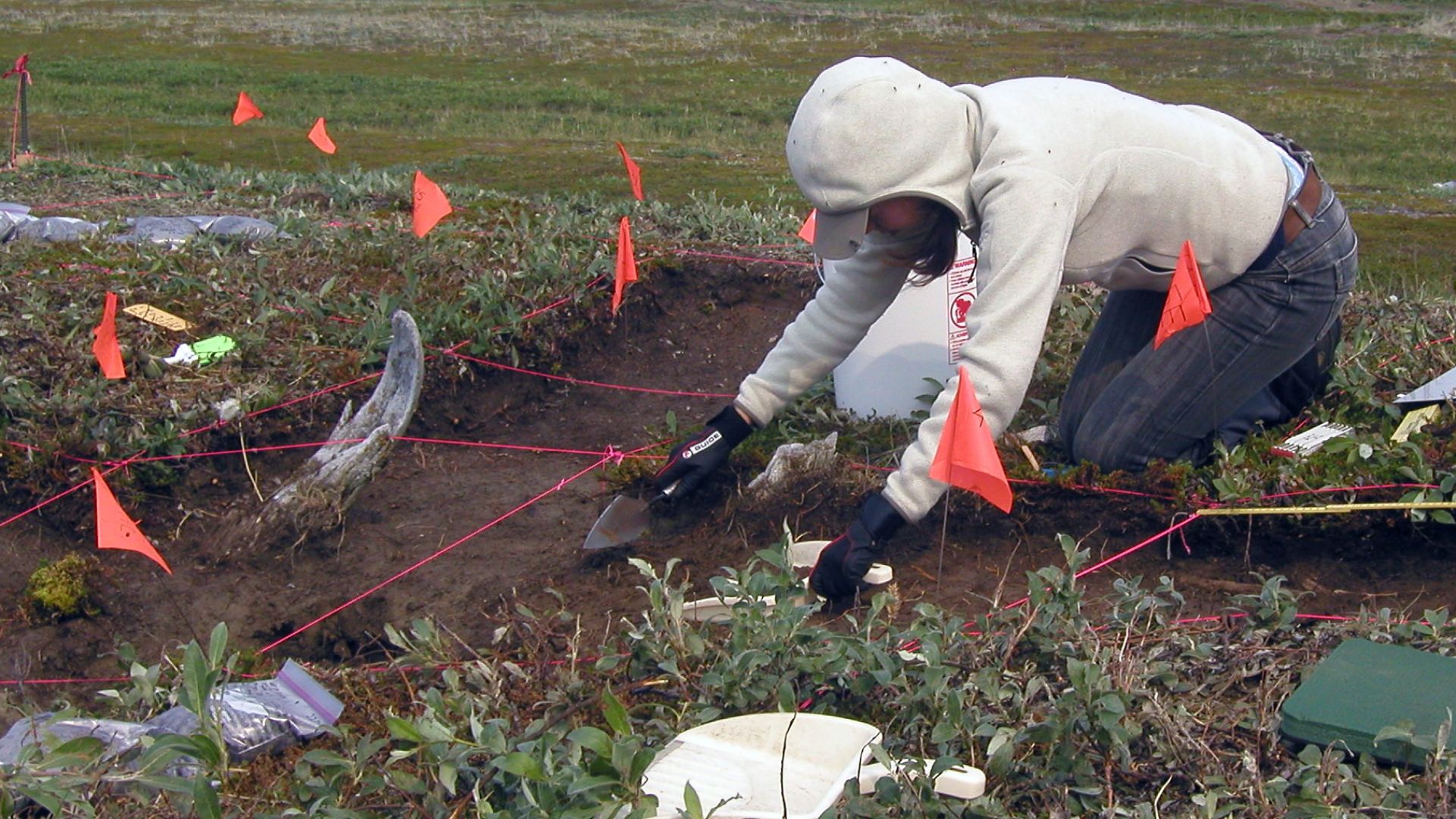Marie and others are studying the past climate and vegetation to learn more about how humans from AD 800-1400 reacted to climate change. Lab and cook tents on youngest beach ridge in the background.