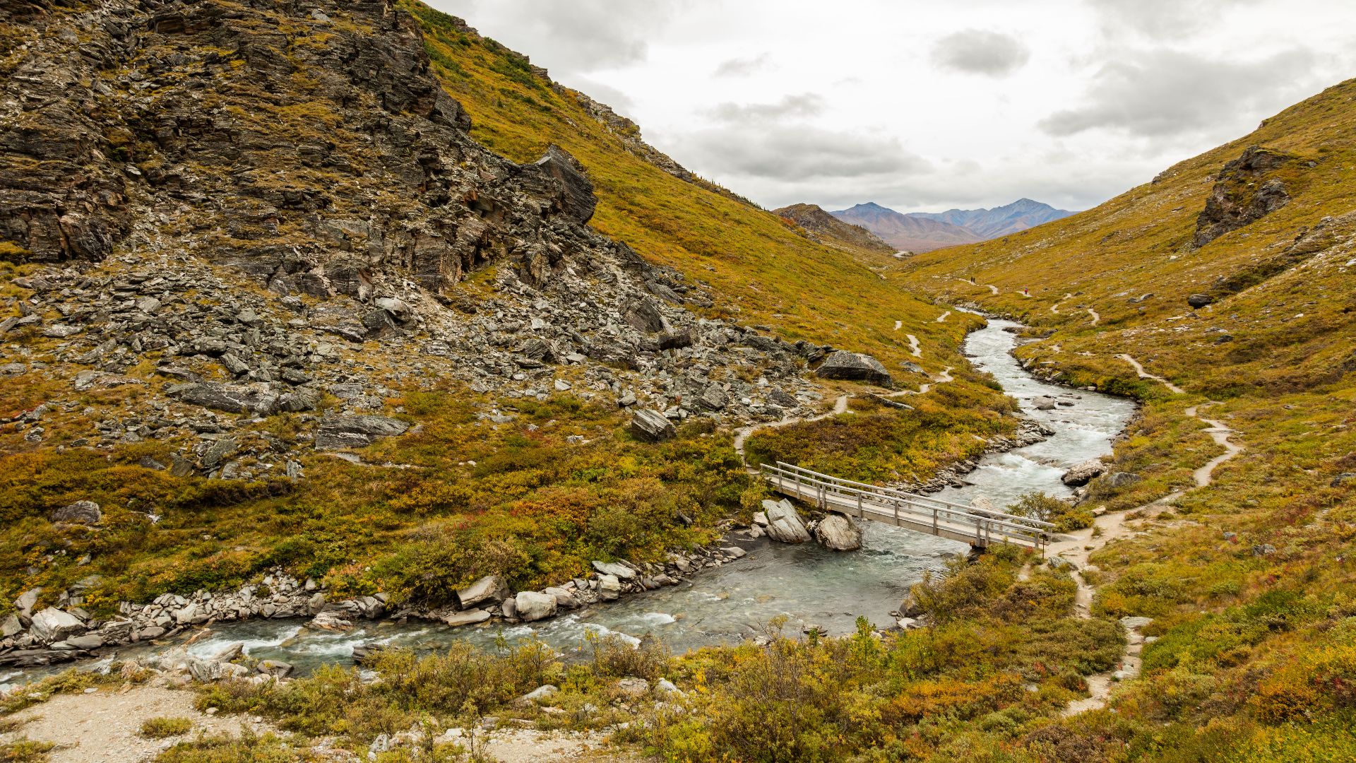 Savage River, Denali National Park‎, Alaska, United States