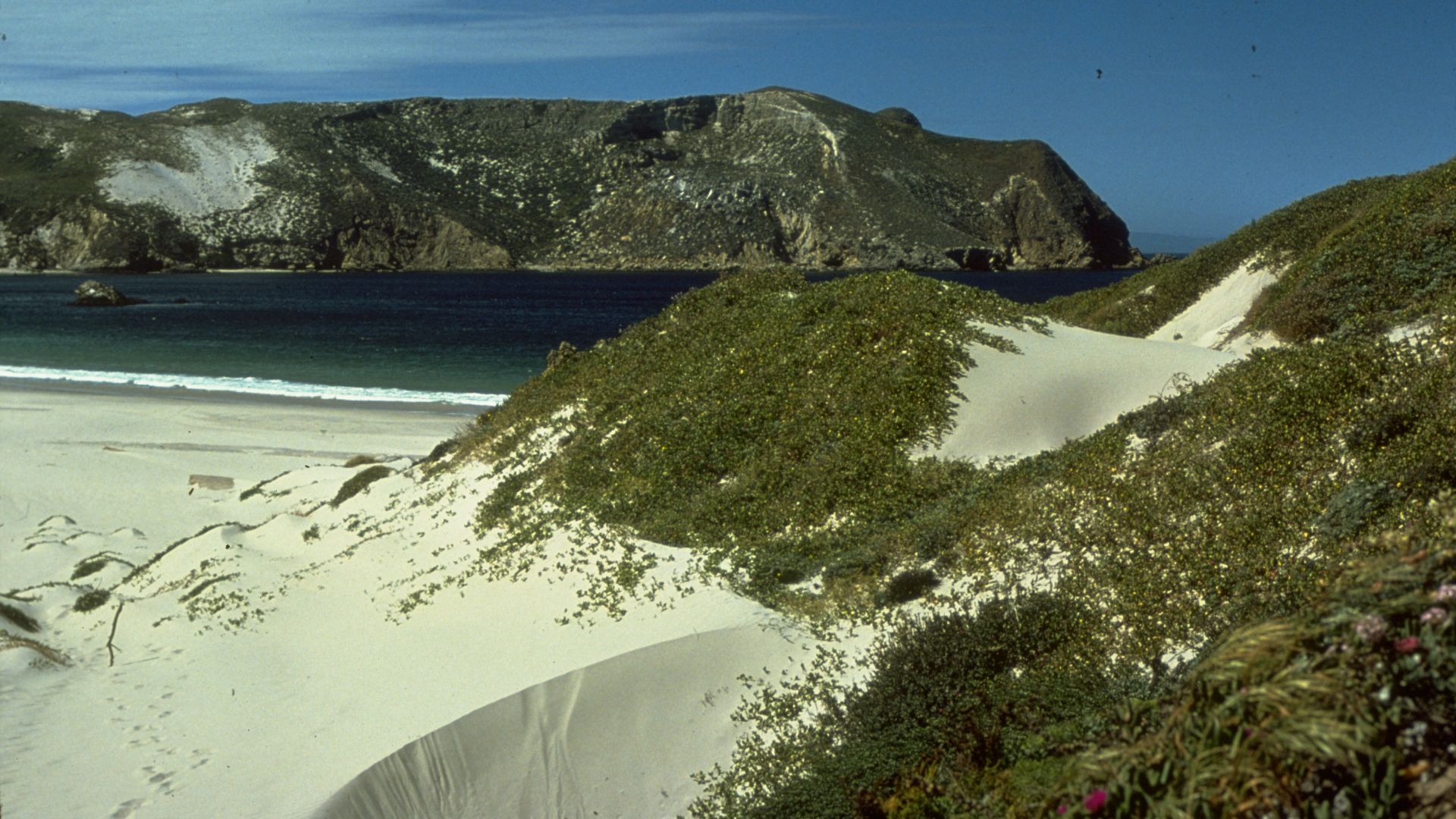 Location Channel Islands National Park
Description  Close to the California mainland, yet worlds apart, Channel Islands National Park encompasses five remarkable islands (Anacapa, Santa Cruz, Santa Rosa, San Miguel, and Santa Barbara) and their ocean envi