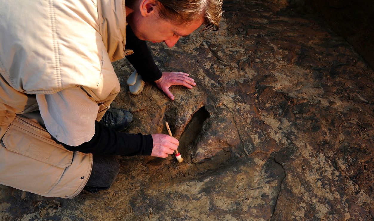archaeologist