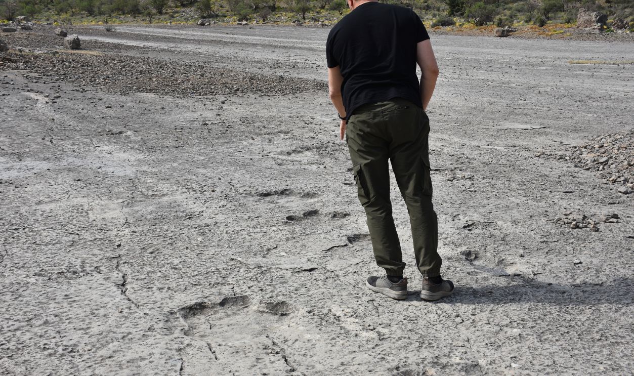 archaeologist