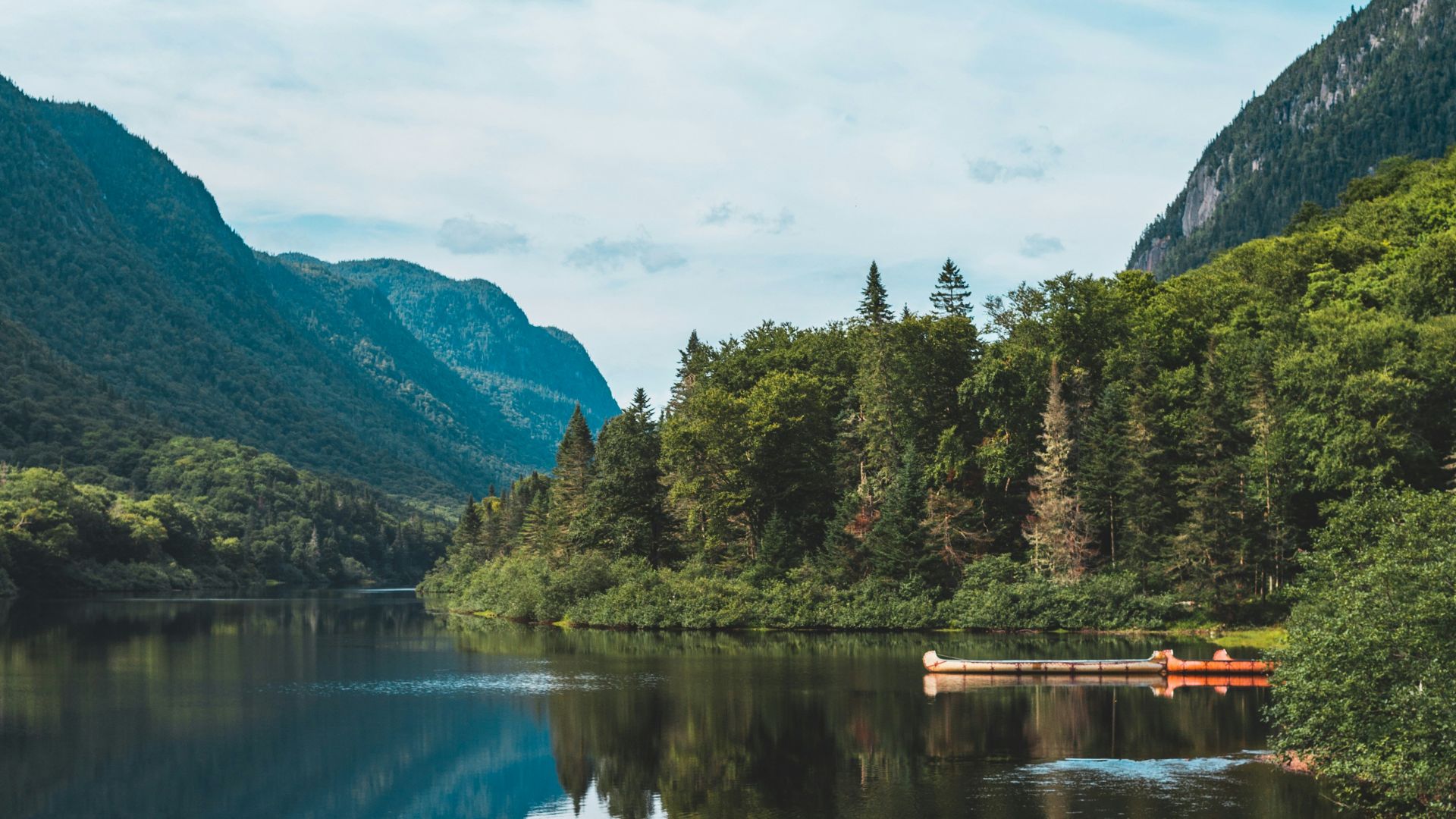 lake and trees