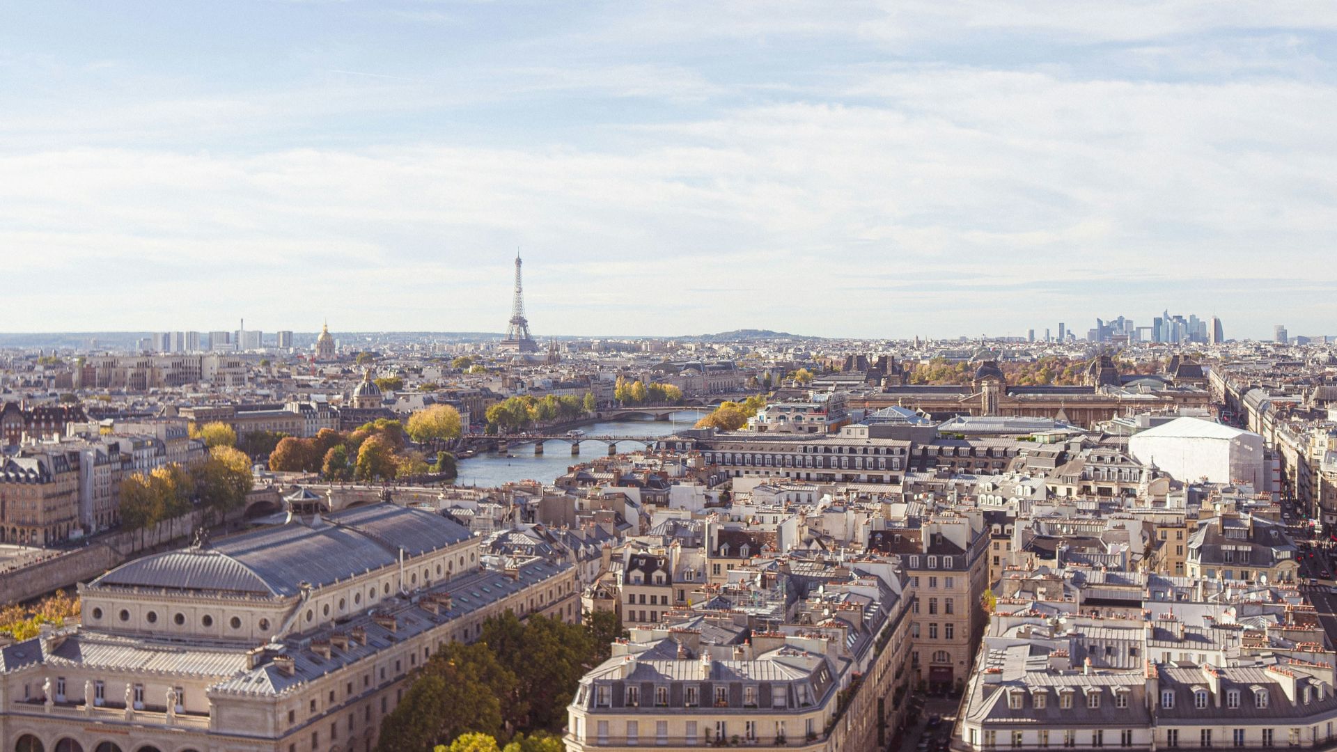 aerial photograph of city