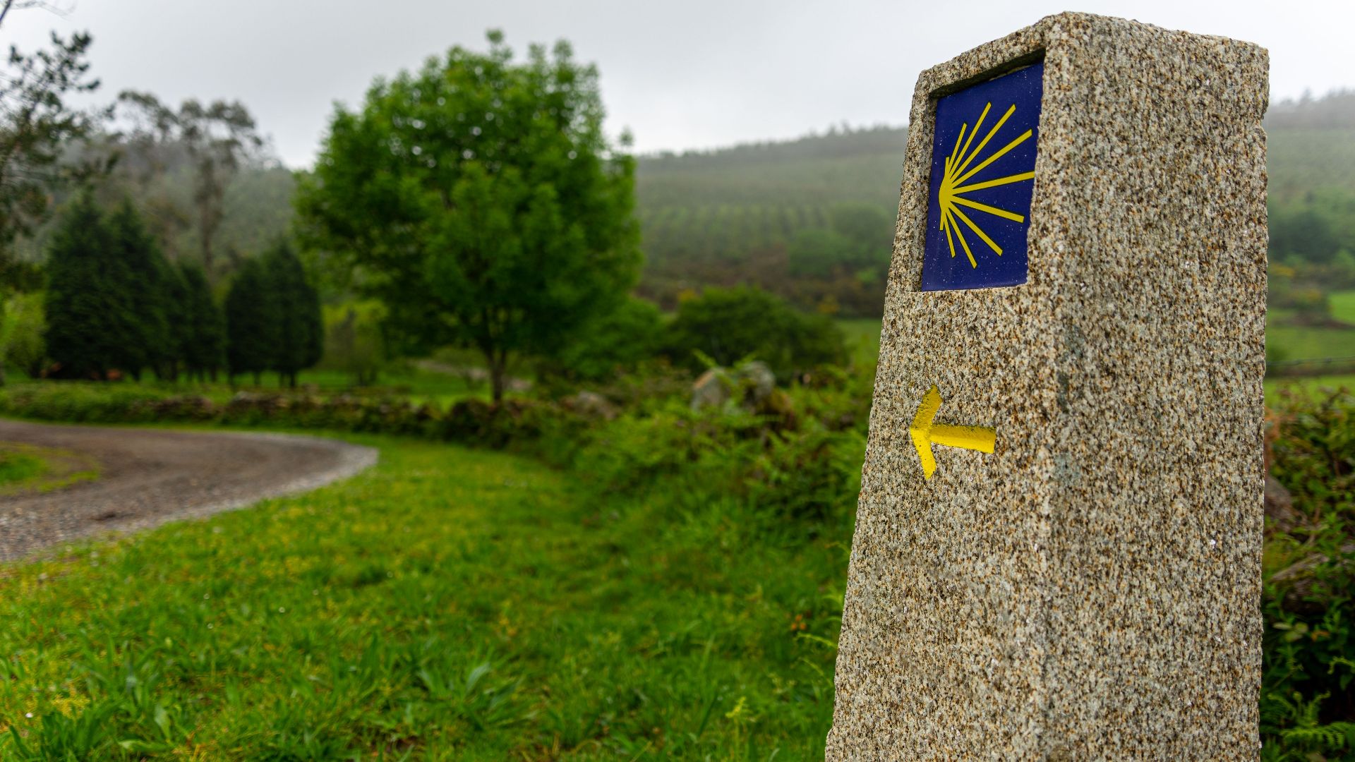 A tranquil scene of a waymark on the Camino de Santiago walking route.