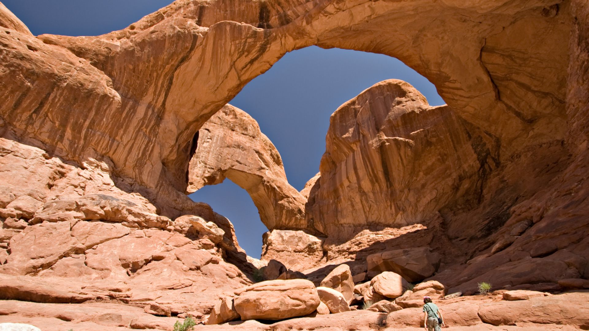 Double Arch, a close-set pair of arches located in Arches National Park in Utah, USA.