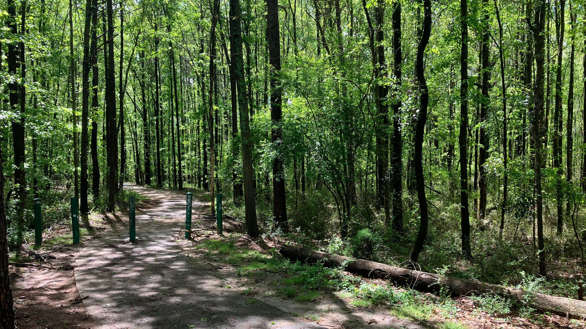Dolls Head Trail Entrance to South River Forest (April 2025)