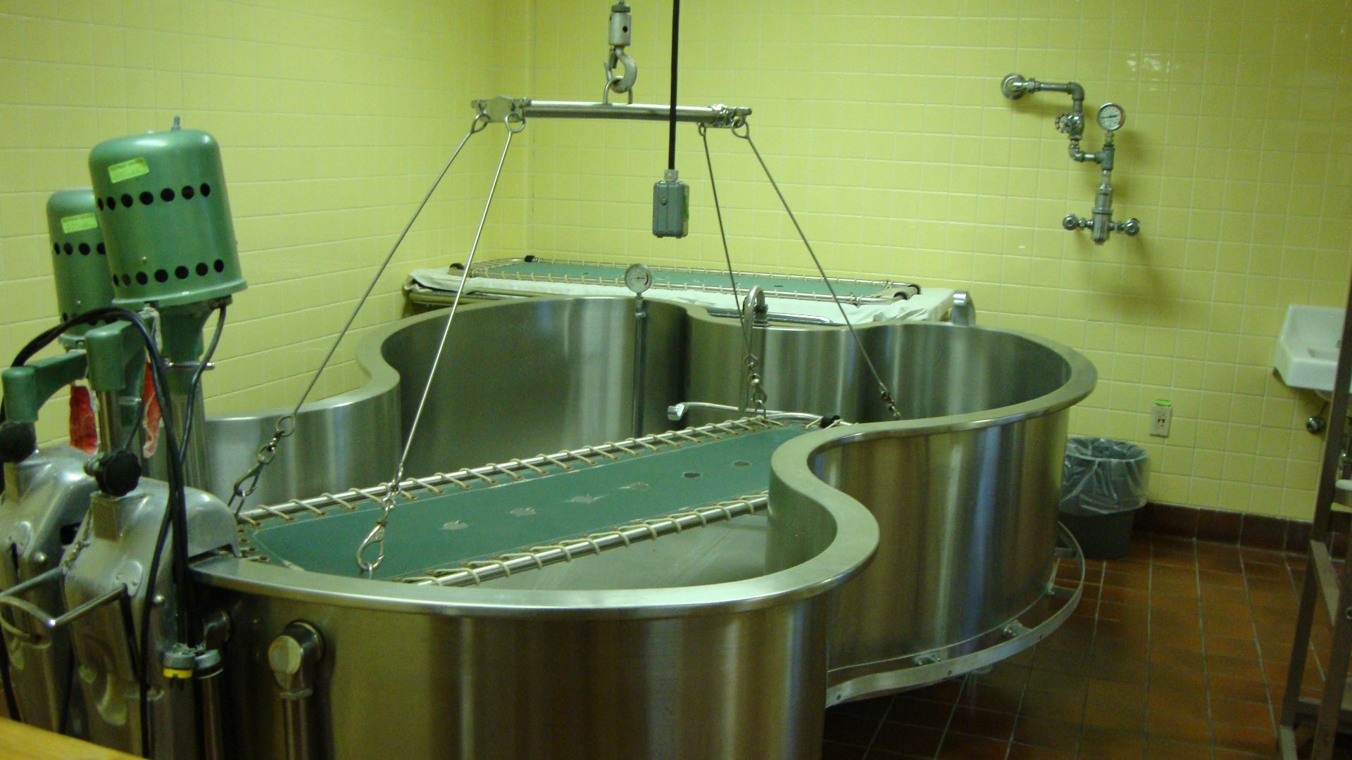 Device to rapidly immerse a patient into a bath of ice water, for psychiatric treatment