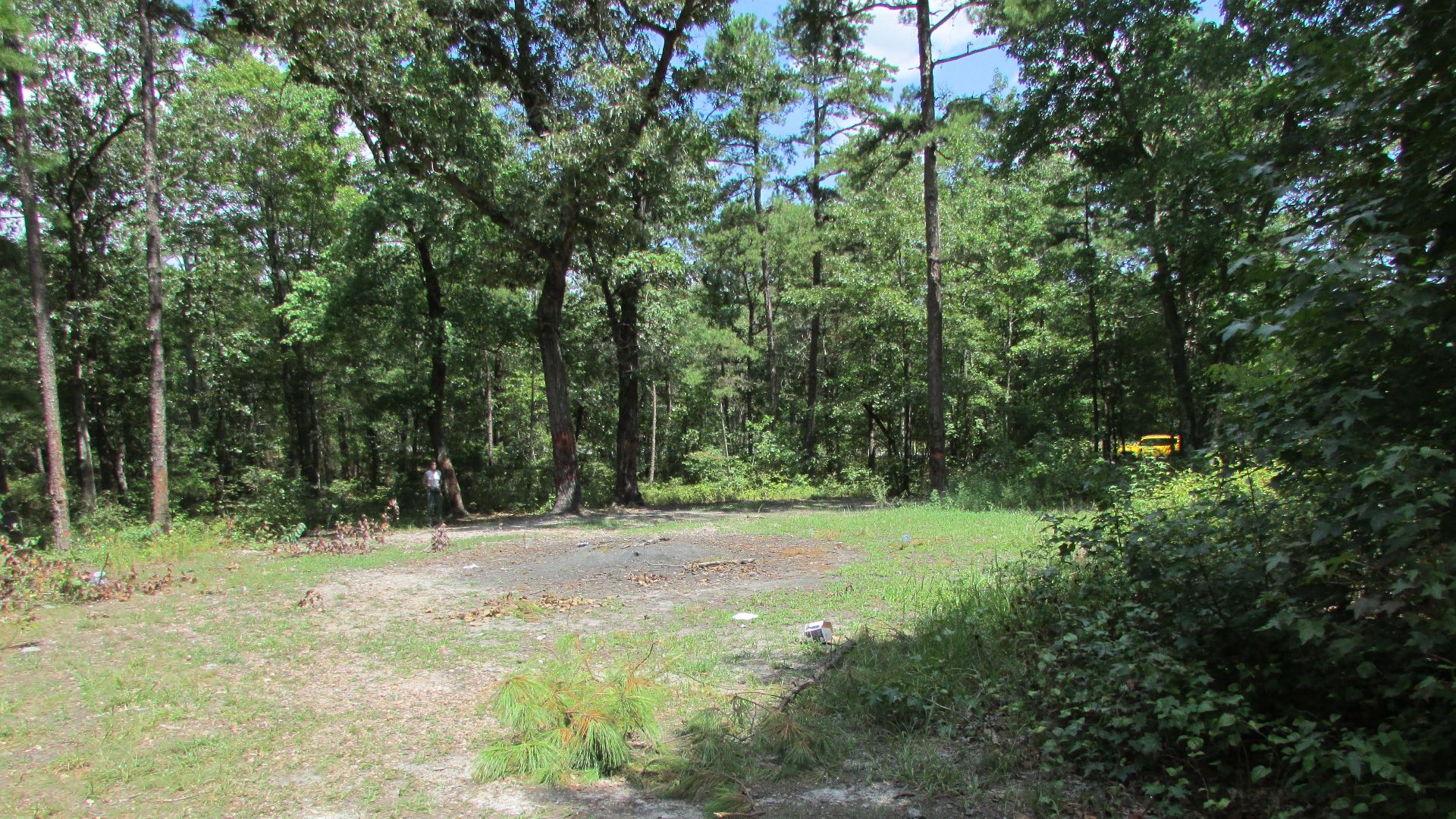 Photo of the Devil's Tramping Ground, near Siler City, North Carolina. Taken in August 2017.