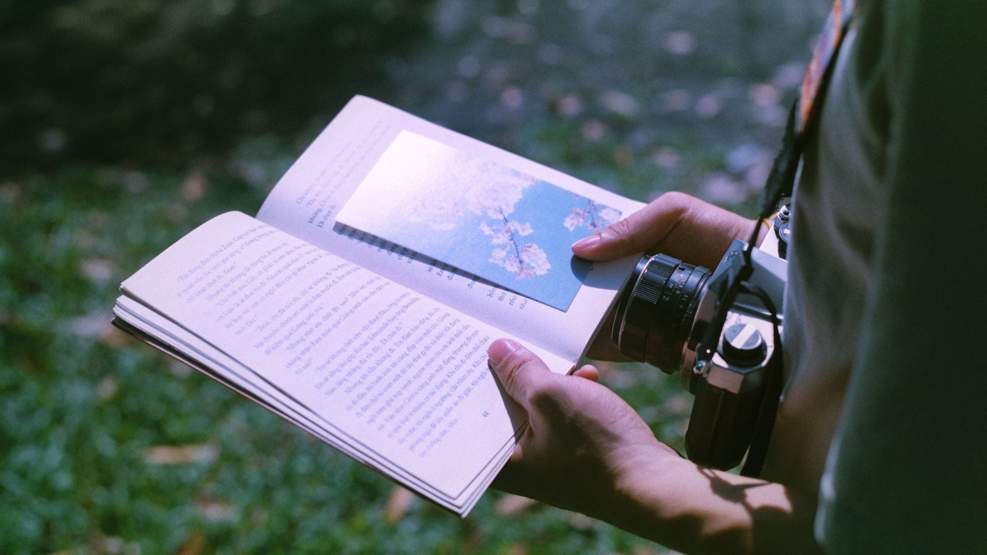 Hands holding a book and camera outdoors in a sunlit park, focusing on travel and leisure.