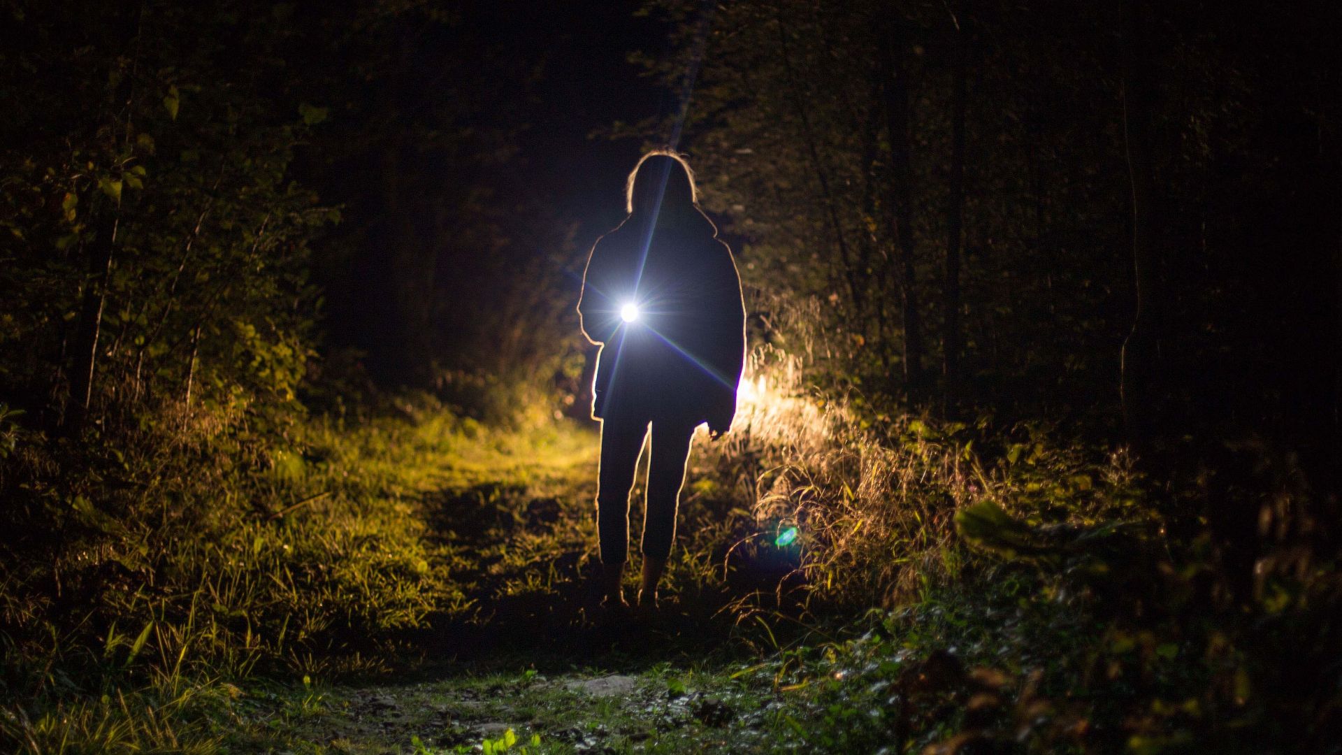 A lone woman with a flashlight illuminates a dark forest path, creating a mysterious nighttime scene.