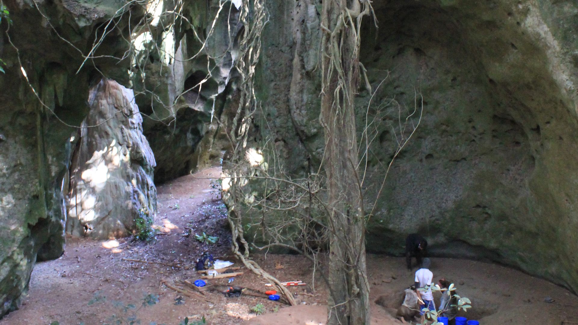 Excavations at the Late Pleistocene to Holocene archaeological site of Panga ya Saidi in Kilifi County, southeastern Kenya. Photograph by Ceri Shipton.