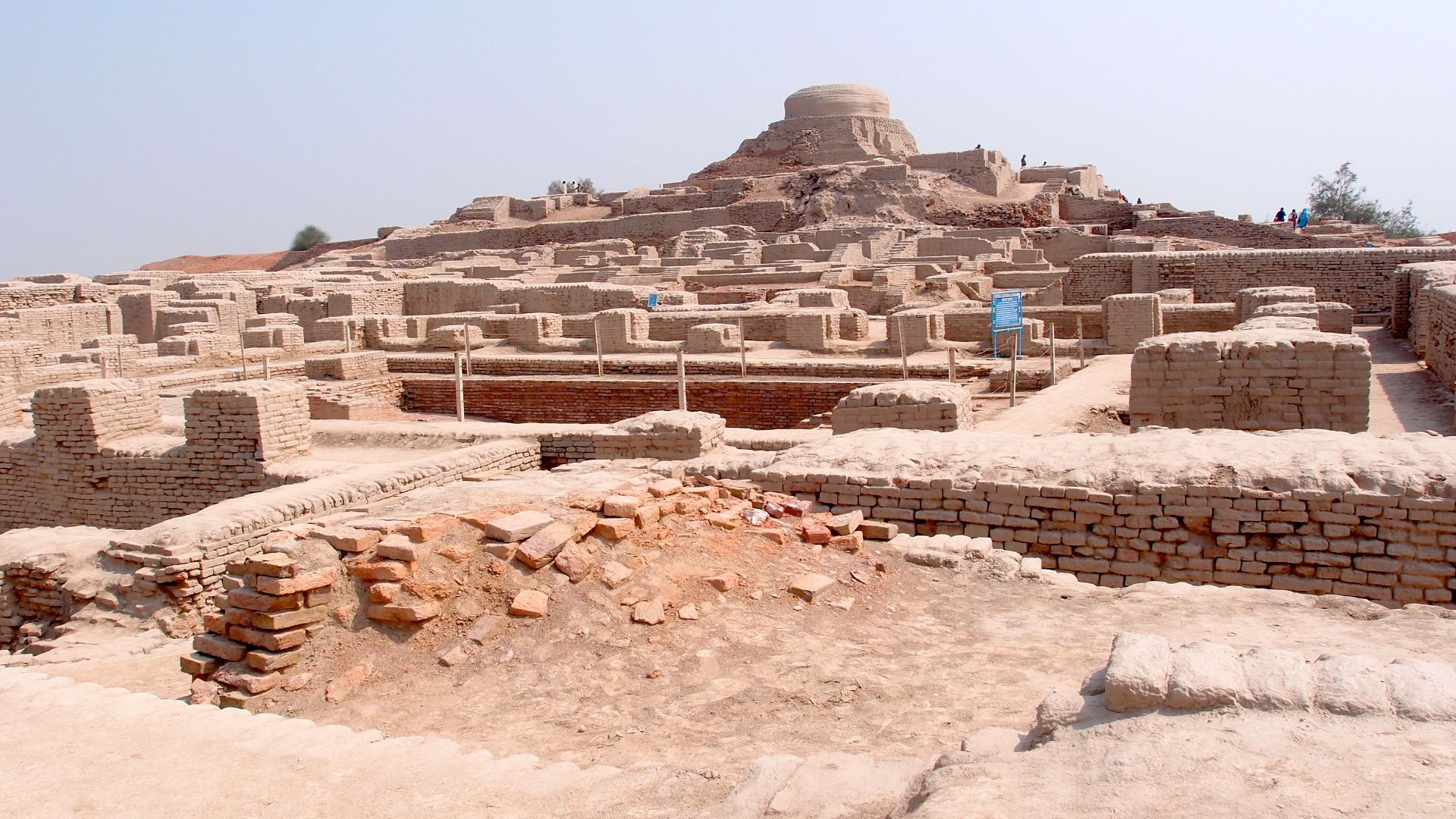 A view of the Buddhist stupa in the background located in the higher settlement to the west, generally referred to as the citadel mound, and it is mostly comprised of the ruins of ancient administrative buildings constructed on top of a massive mud-brick 