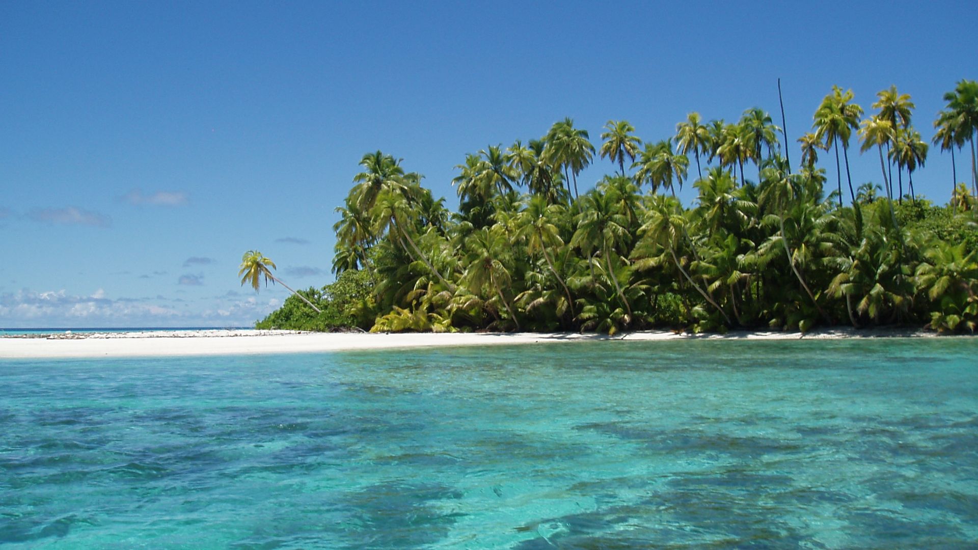 Salomons Atoll is one of the many above water features of the Chagos Archipelago