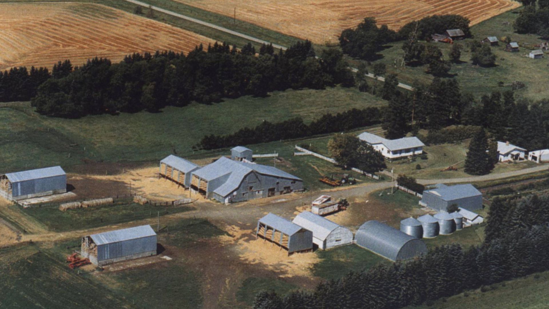 A farm in the rural municipality of Sifton.