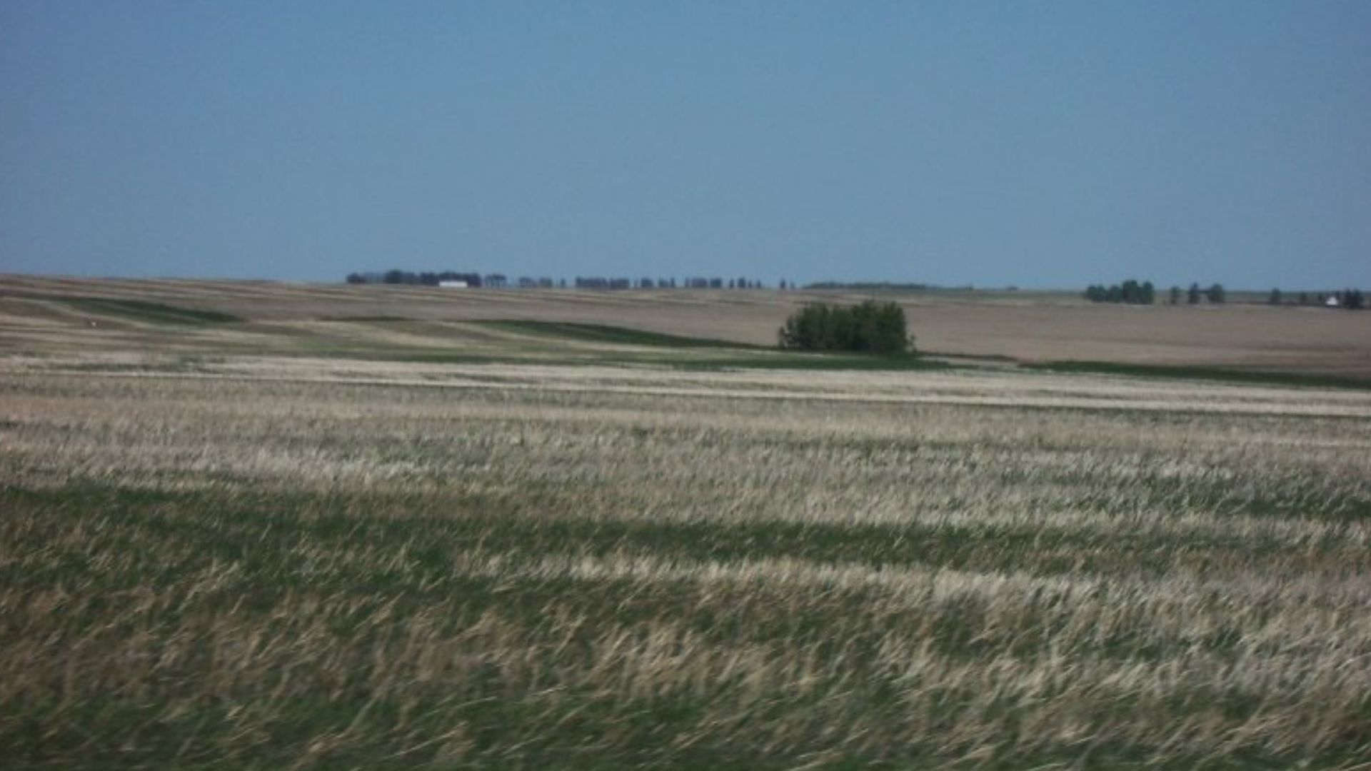 Prairie in Alberta, Canada (somewhere between Calgary and Edmonton?)