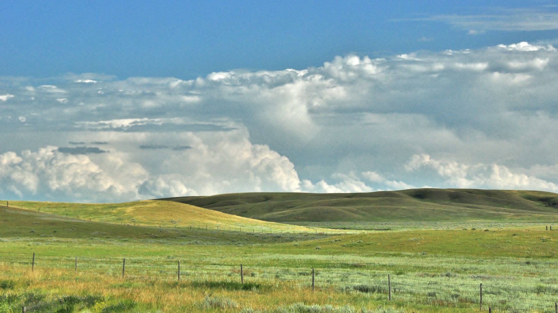 Prairie along the Trans-Canada Highway in eastern Alberta near Medicine Hut