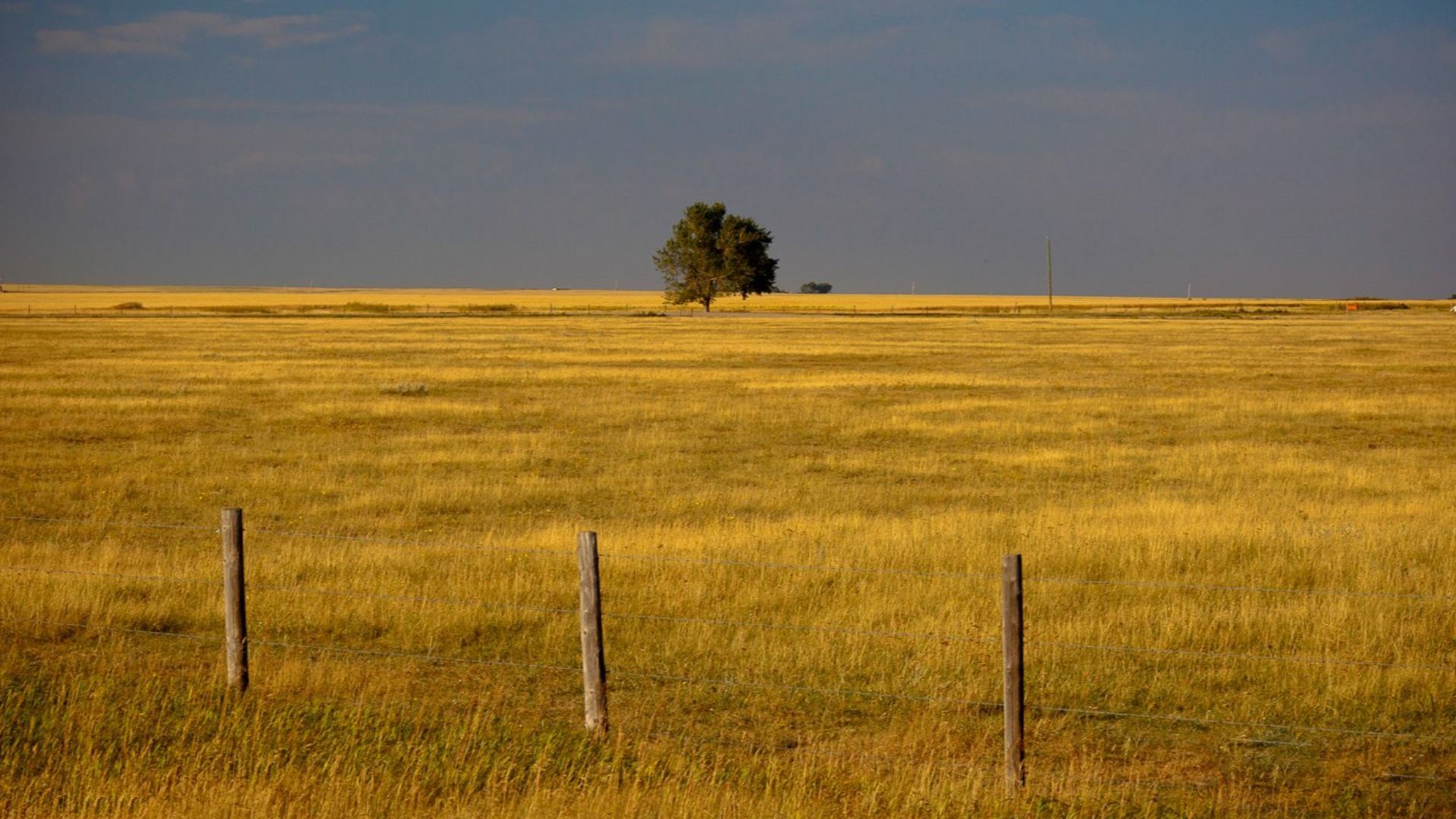Flat prairie farmlands exist for miles and miles in Alberta before encountering the jagged peaks of the Canadian Rockies. This was taken outside of Calgary.