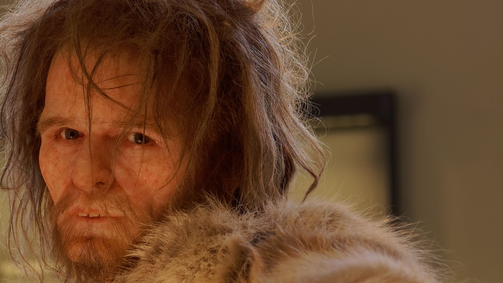 Model of Homo neanderthalensis man in The Natural History Museum, Vienna