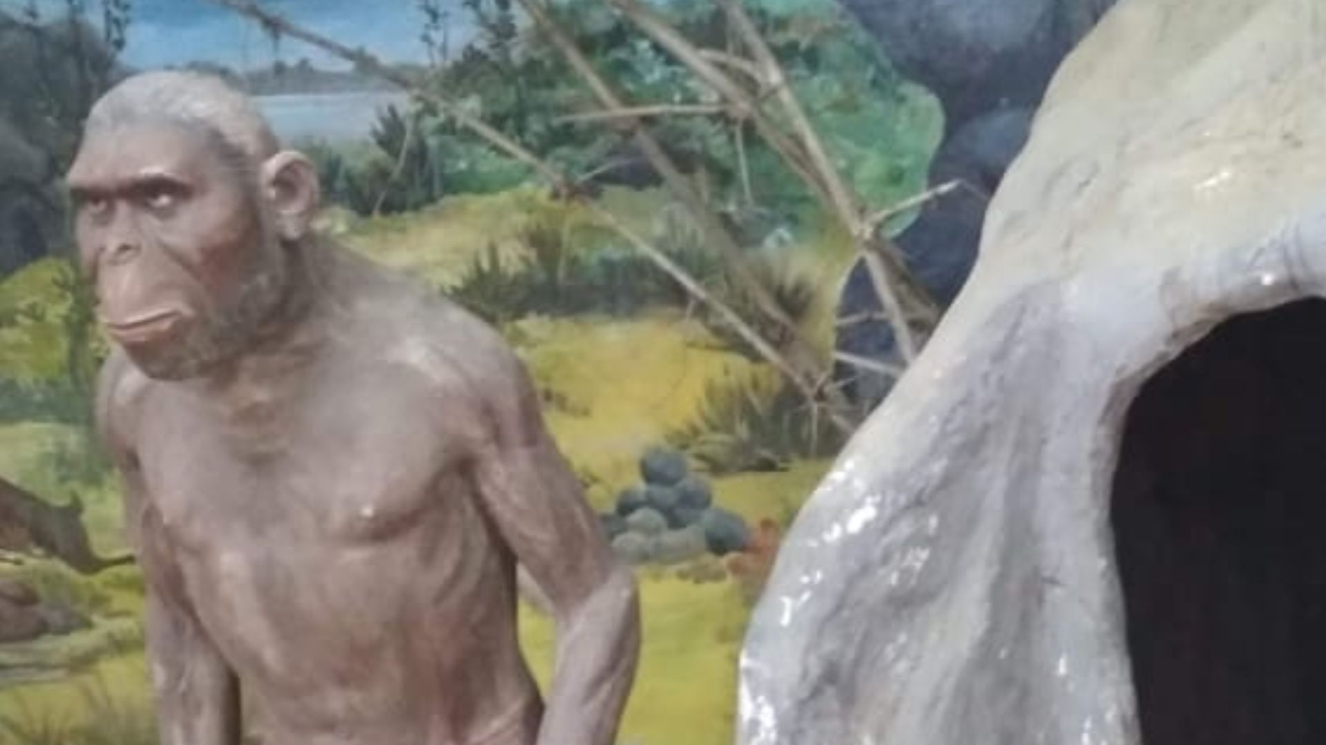 Homo sapiens is the only extant human species. The name is Latin for 'wise man' and was introduced in 1758 by Carl Linnaeus. Extinct species of the genus Homo include Homo erectus, extant from roughly 1.9 to 0.4 million years ago, and a number of other sp