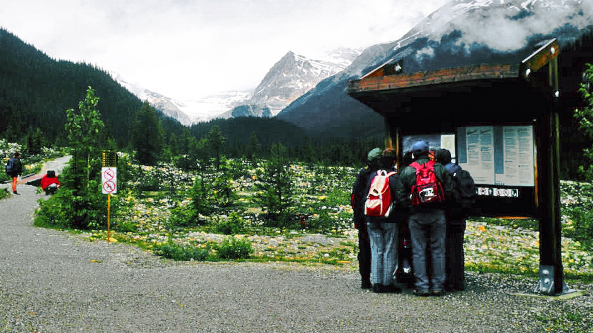Hikers looking at a map of the area; Yoho National Park, British Columbia, Canada