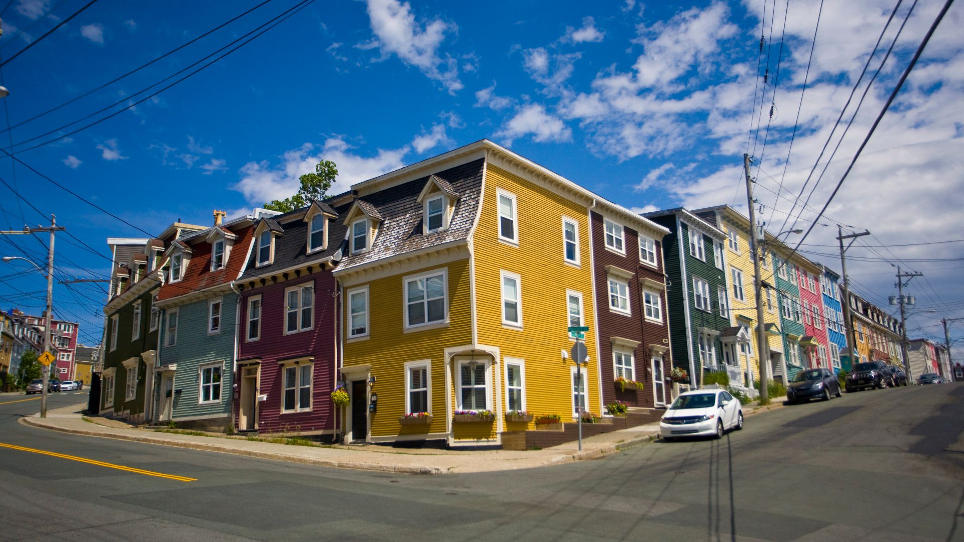 Newfoundland