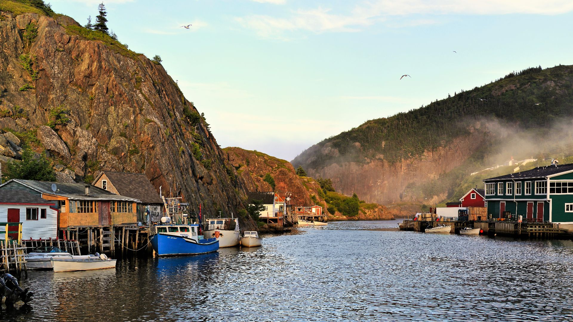 Context view: Quidi Vidi Harbour (enclave community, St. John's, NL)