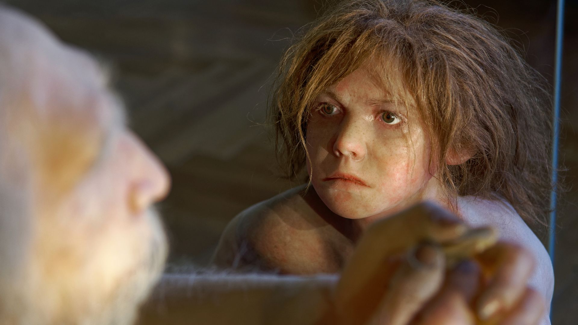 Model of Homo neanderthalensis child in The Natural History Museum, Vienna