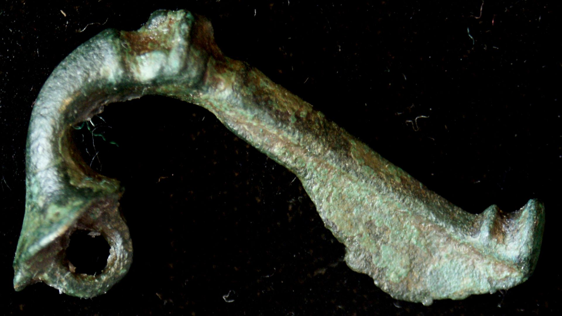 Romano-British non-enamelled Trumpet brooch, spring, pin, chain-loop and catchplate flap missing. Distorted. Mid-bow acanthus moulding is flat on reverse. Length (estimated) c.45mm. Mid 1st – late 2nd century.