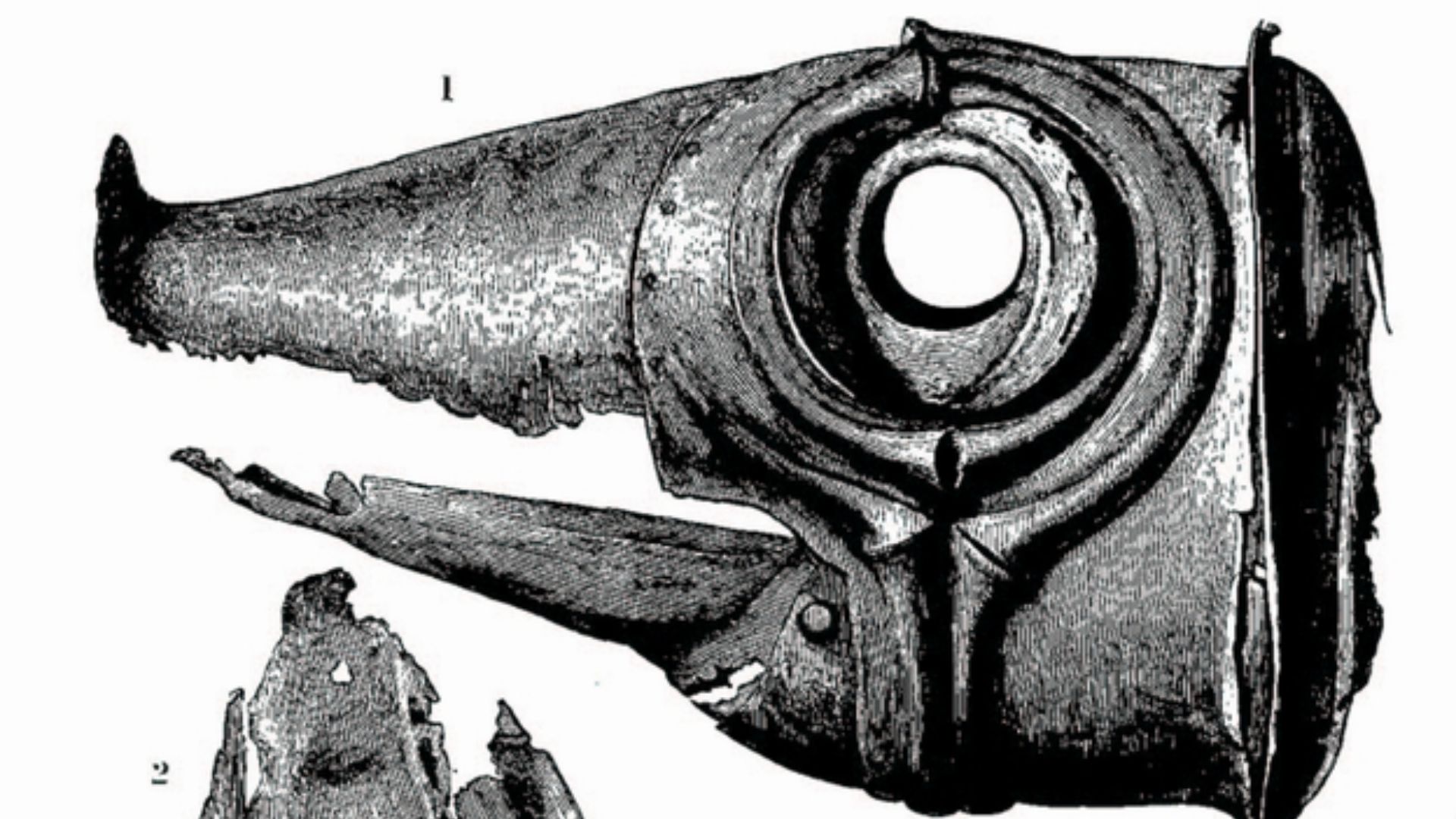 Drawing of Deskford carnyx, aka Leitchestown or Leichestown carnyx