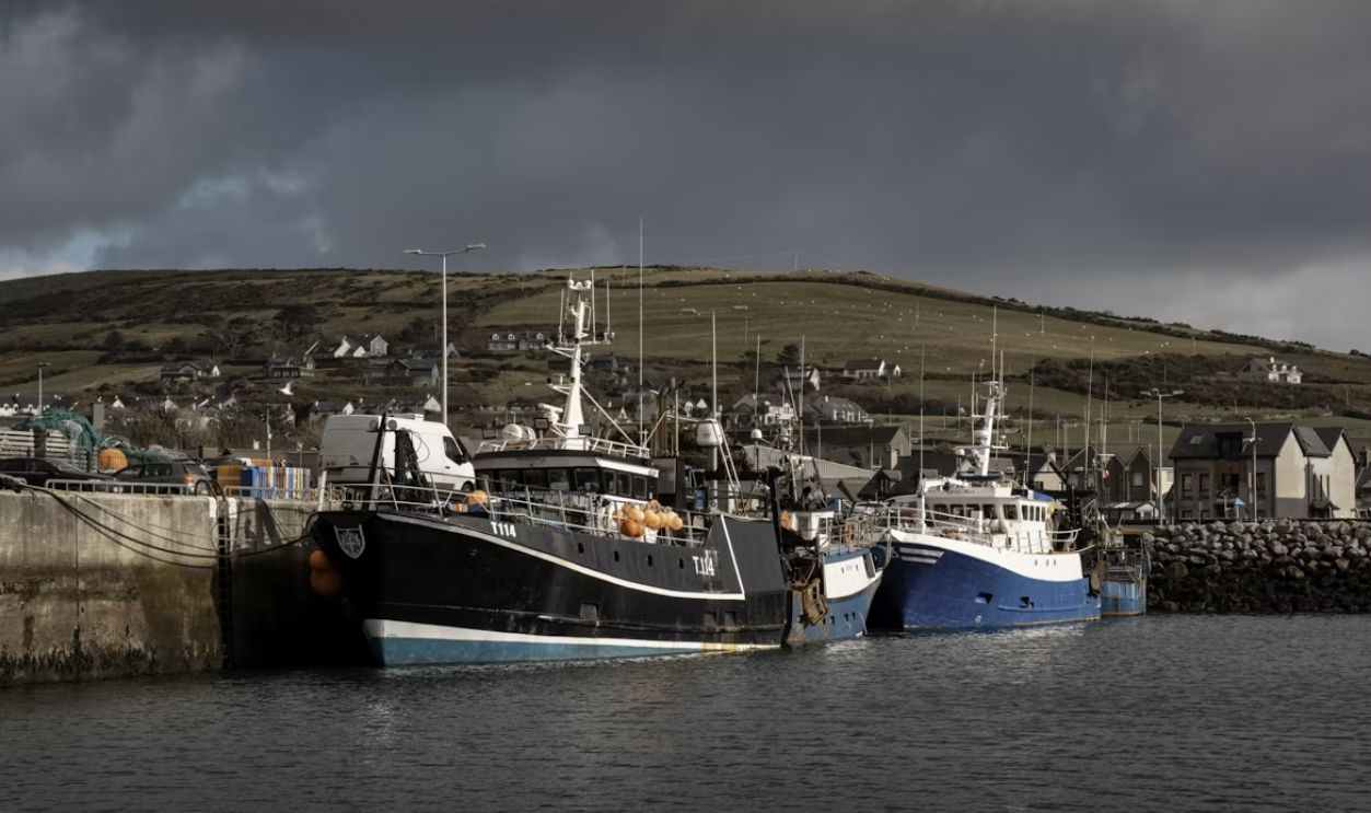 Fishing boats docked at a harbor with a village behind