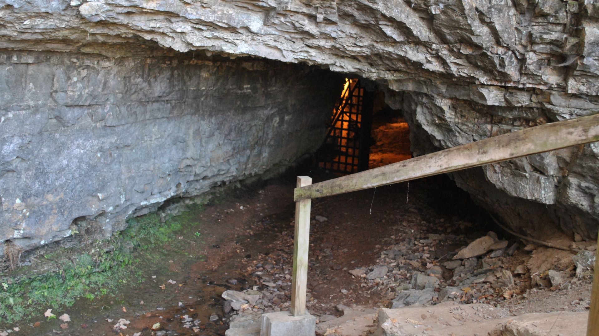 Bell Witch Cave, 430 Keysburg Rd. Adams