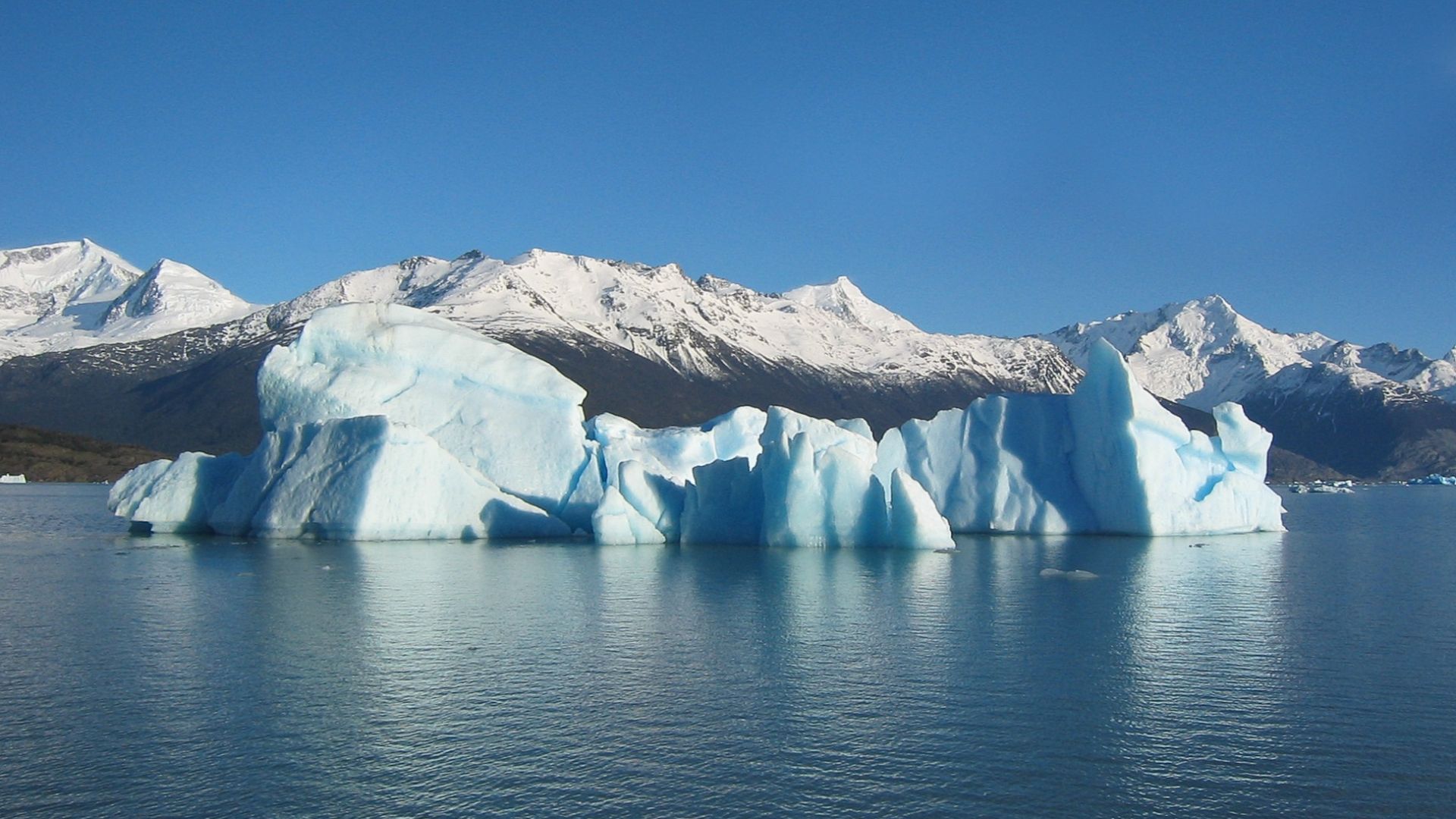 Iceberg floating in Lago Argentino broken off from the Perito Moreno Glacier