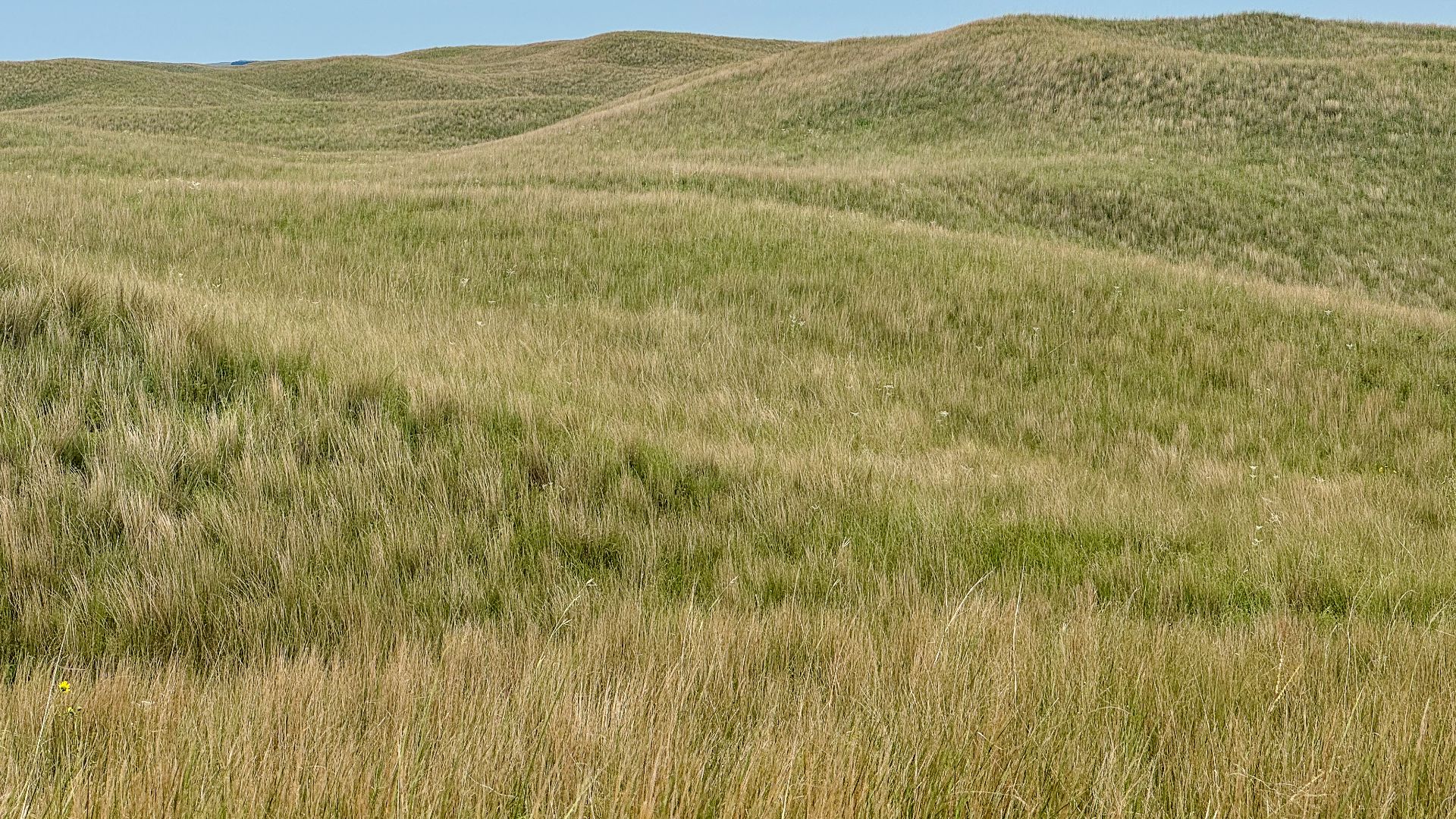This image was captured in the Sand Hills EPA Level IV Ecoregion (44a). In One Earth's ecoregion framework, this image captures the Nebraska Sand Hills Mixed Grasslands Ecoregion.