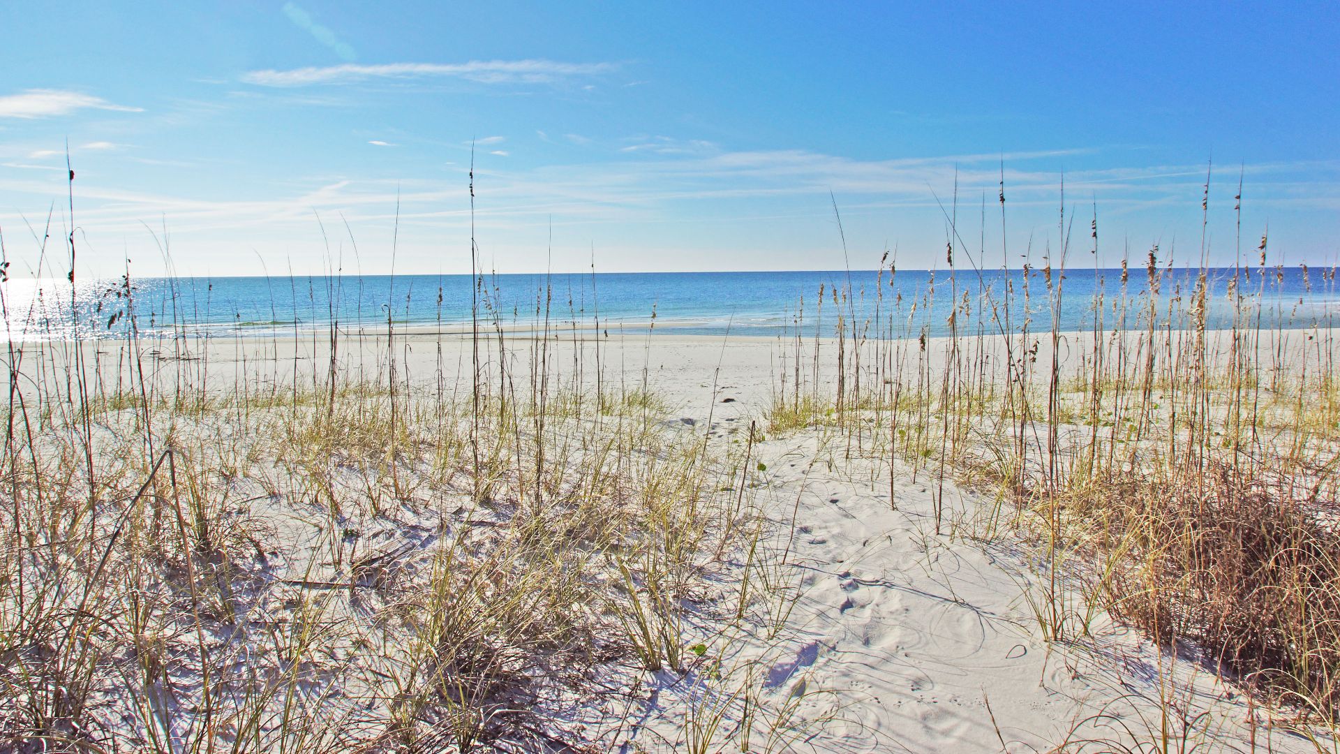 A view of the ocean in Gulf Shores taken through some reeds - photo by https://ourgulfshoresvacation.com