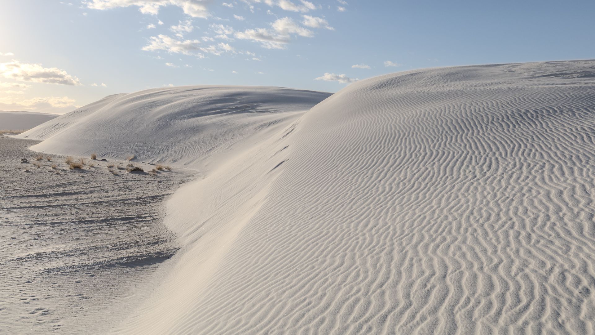 Sand dune at White Sands National Park, New Mexico, US