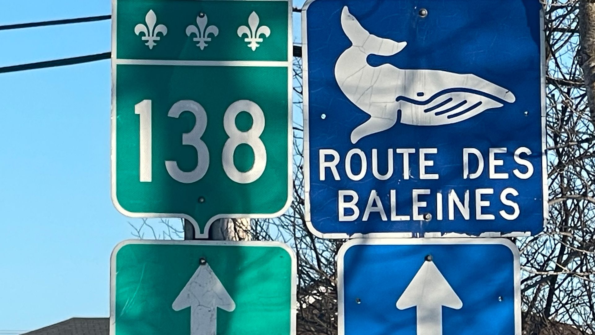Road signs in Havre-Saint-Pierre, Québec