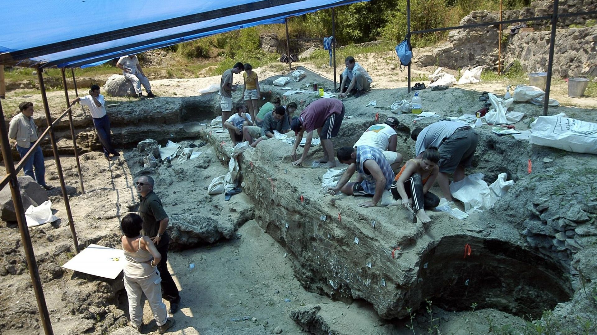 Dmanisi excavation site