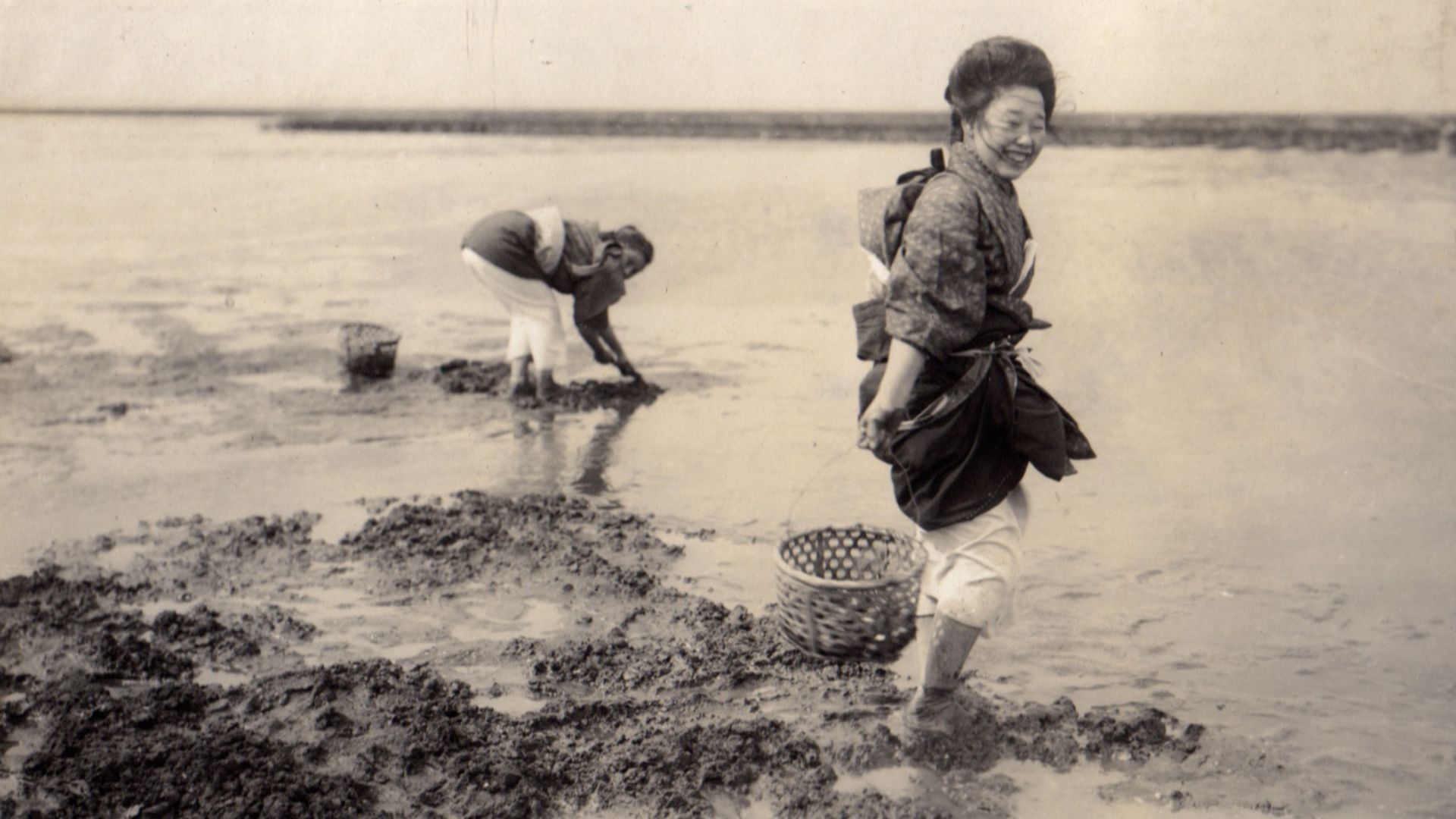 My spouse's uncle Elstner Hilton took this photo in Japan between 1914 and 1918.

My best guess is the women in this photo are gathering shellfish.  If they were harvesting seaweed, they'd be in deeper water and have larger baskets.
