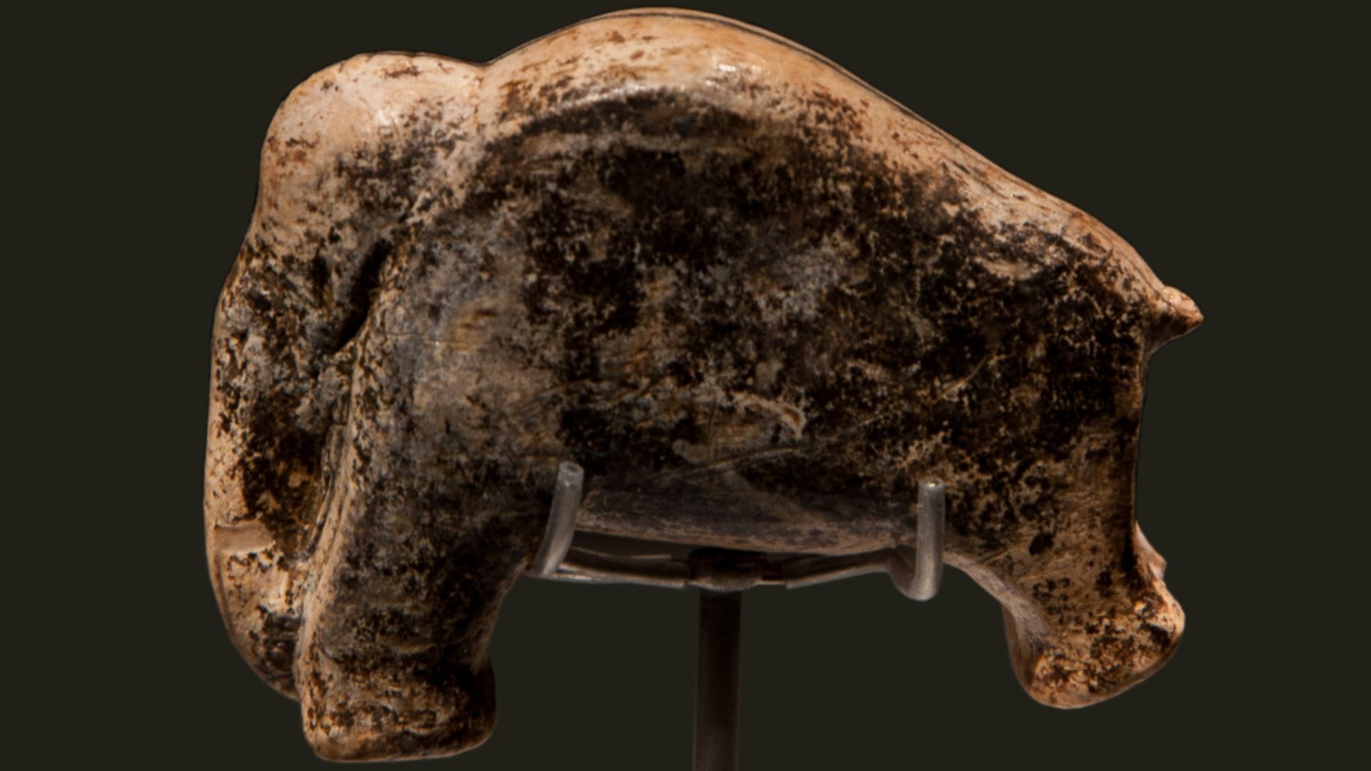 Vogelherdhöhle (Bird's herd cave): Figure of a mammoth from mammoth ivory, found in 2006 in the overburial of Gustav Riek's excavation from 1931. Aurignacien, length 37 mm, height 27 mm, depth 14 mm, weight 5.3 g.