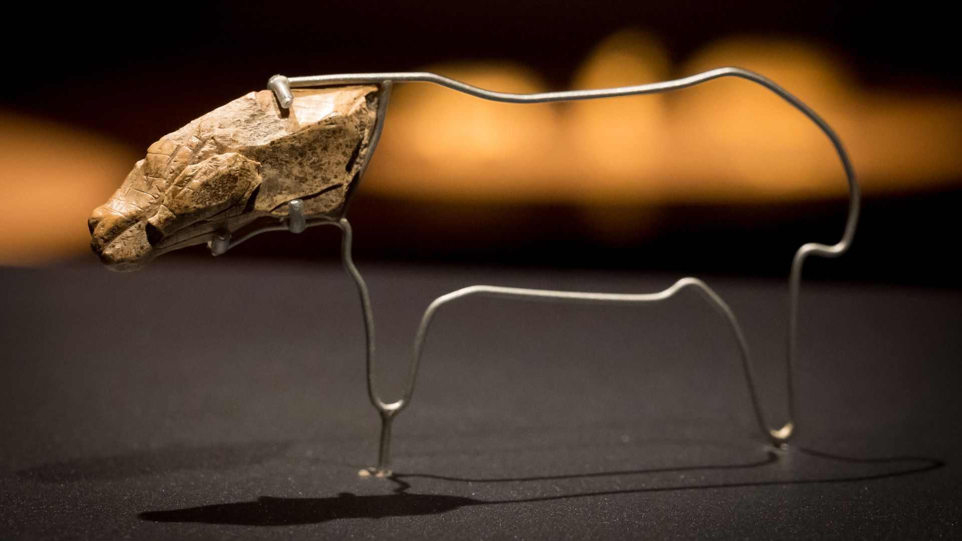 Hohle Fels, Schelklingen: fragmentarisch, vor allem linksseitig erhaltener Kopf einer Pferdefigur aus Mammut-Elfenbein, ausgestellt im Urgeschichtlichen Museum URMU in Blaubeuren. Universität Tübingen, von David Puncochar entdeckt am 28.05.1999 im Grabung