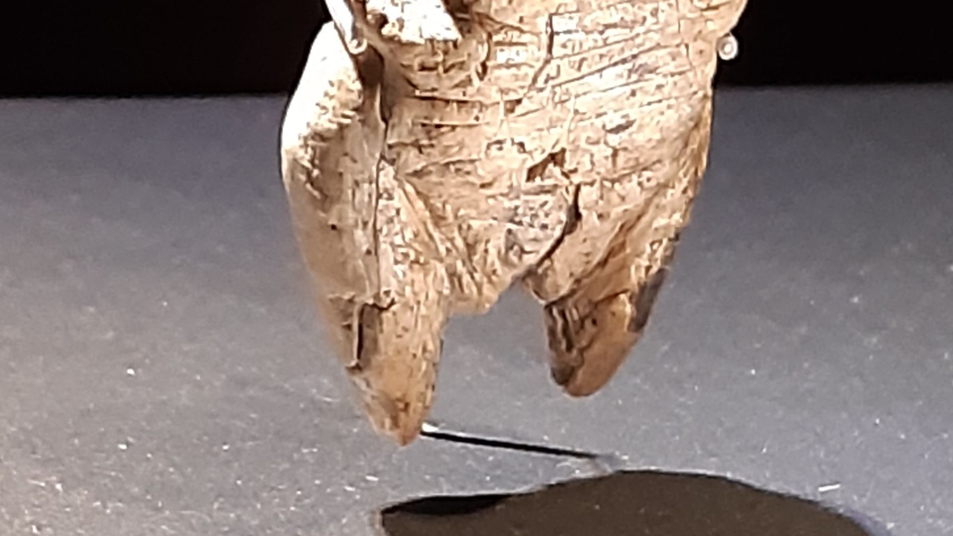 Venus vom Hohlen Fels, Urgeschichtliches Museum Blaubeuren