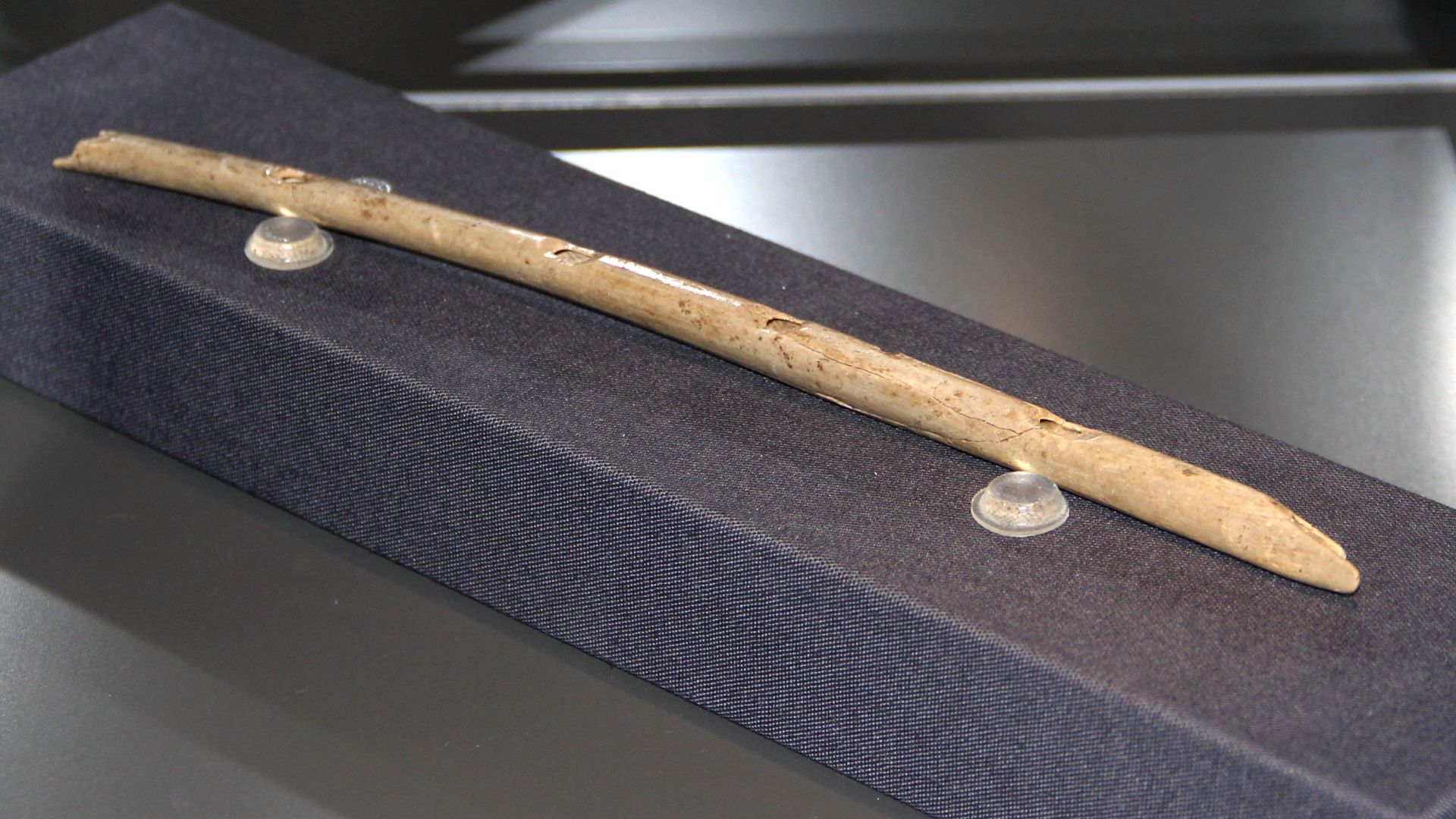 Flute of vulture bone Hohle Fels in the Museum of Prehistory Blaubeuren - urmu