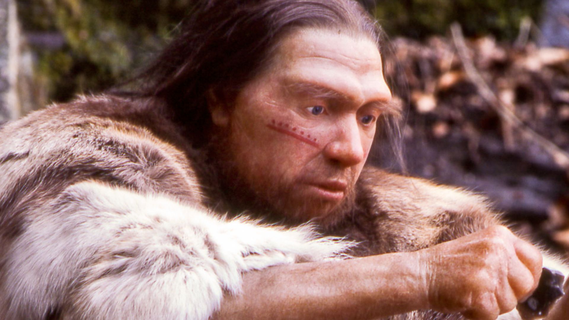 Lebend-Rekonstruktion im Neanderthal-Museum (Erkrath, Mettmann) eines Homo sapiens neanderthalensis-Jägers