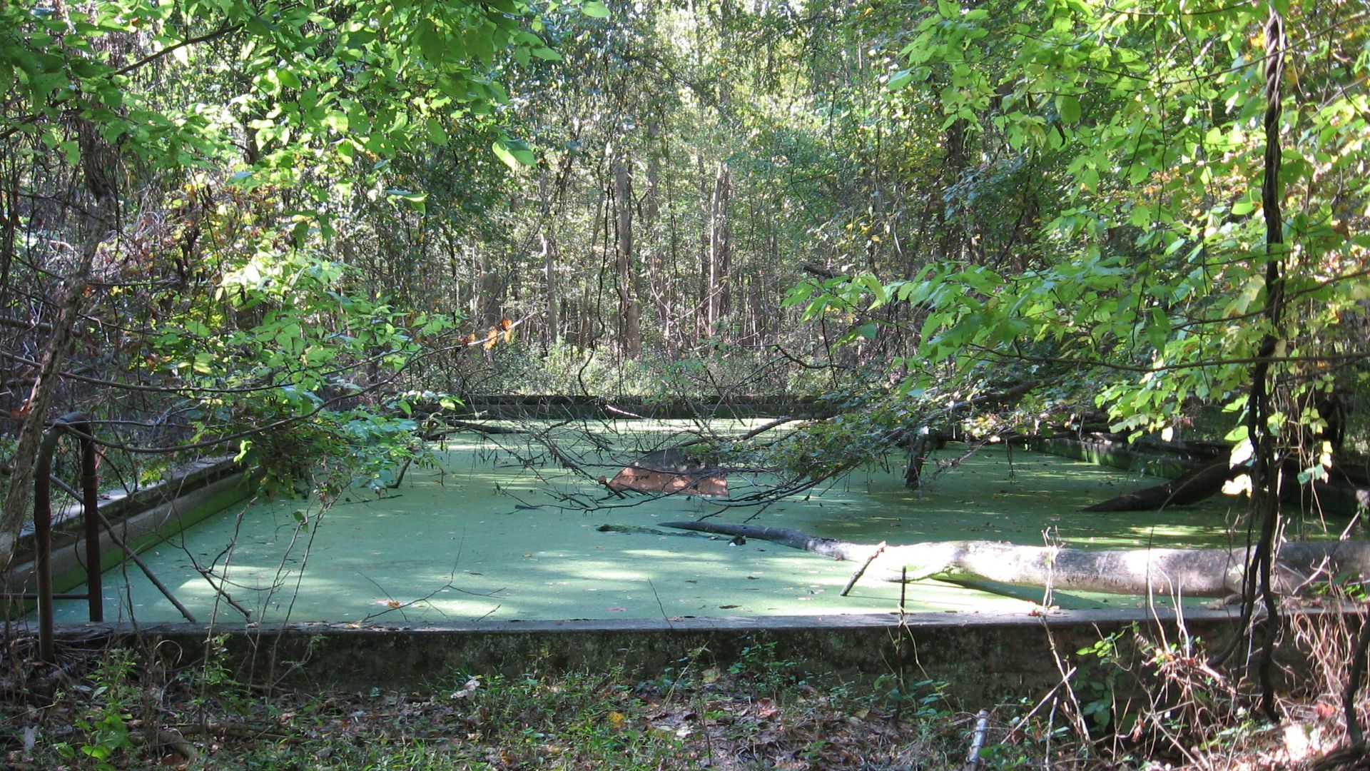 The remains of the old swimming pool at Rose Island
