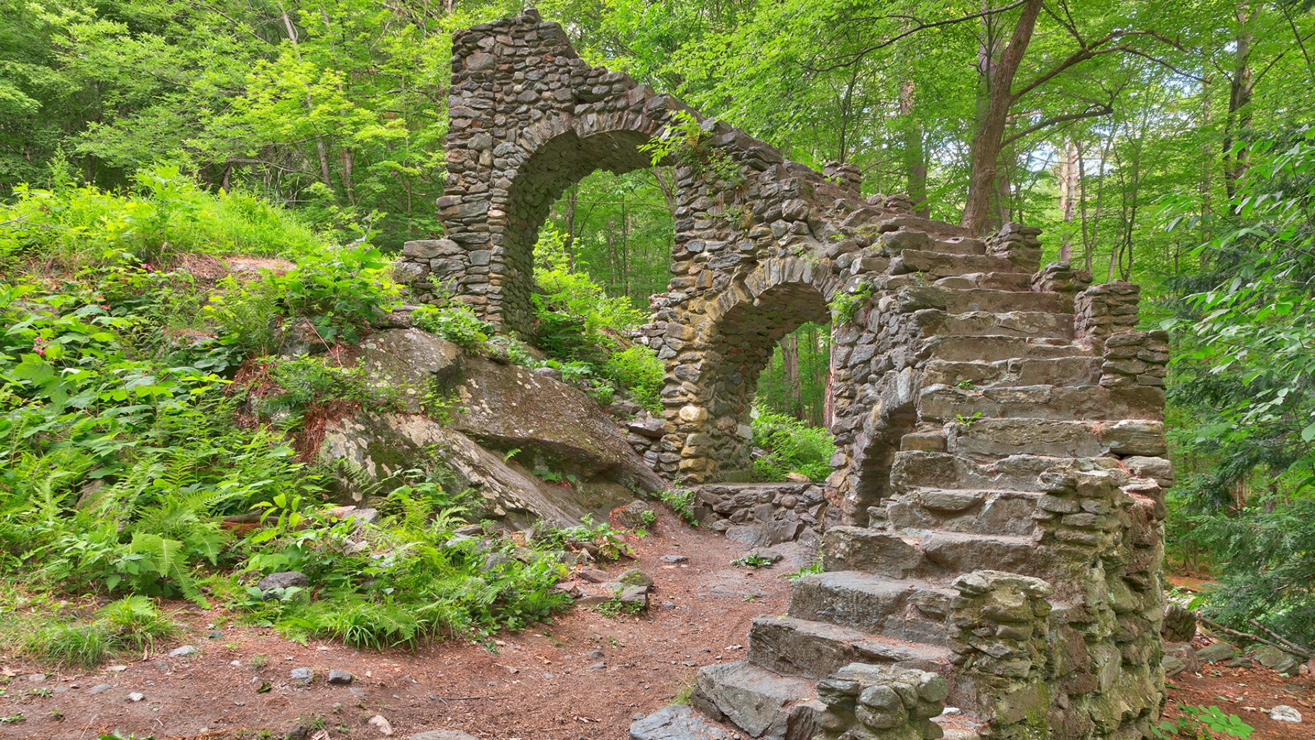Forest Castle Ruins 