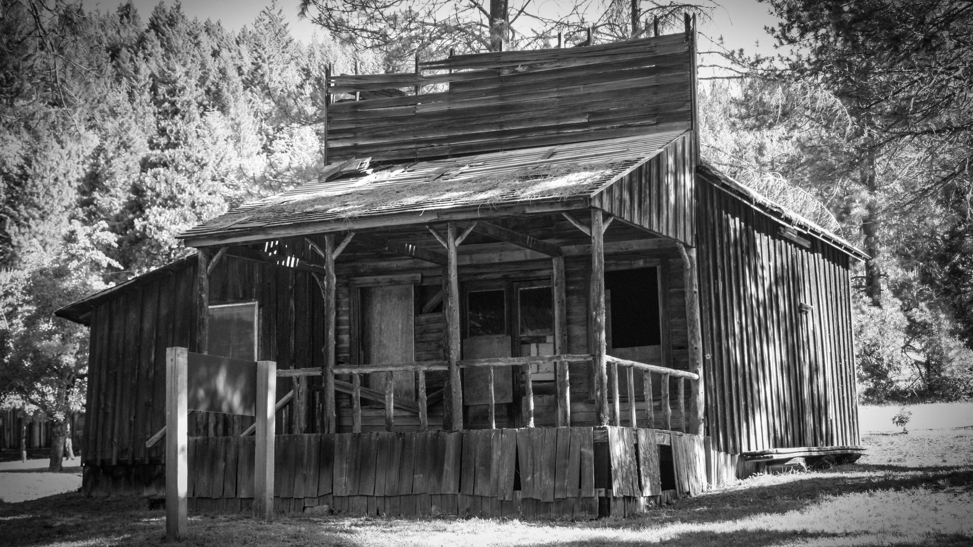 Golden Oregon 002bw