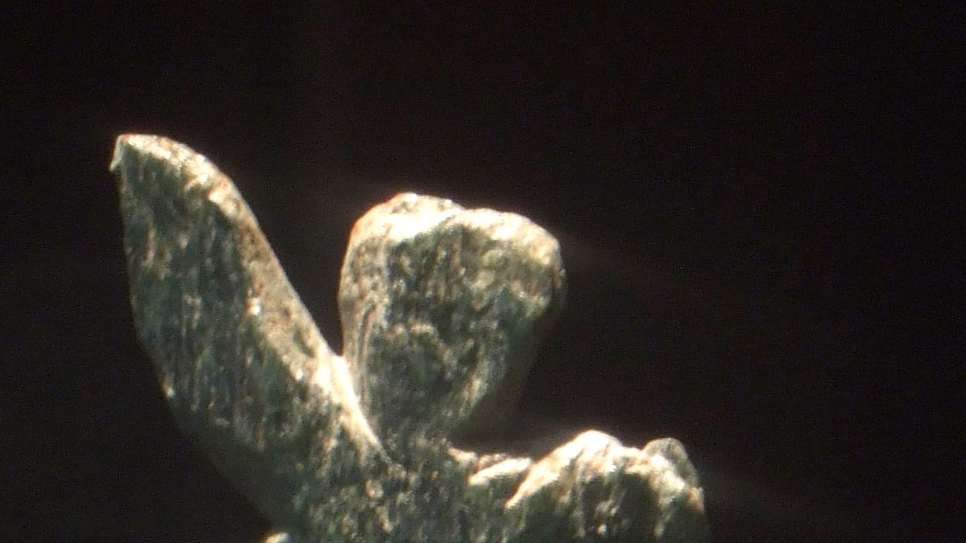 Venus of Galgenberg made of green serpentine 30,000 years ago.