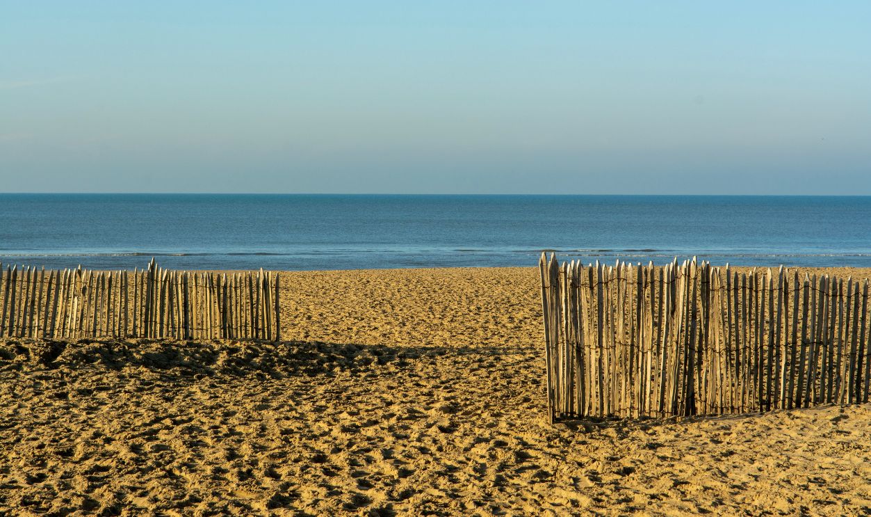 Serene beach scene with sandy shore, blue sky, and wooden fences 