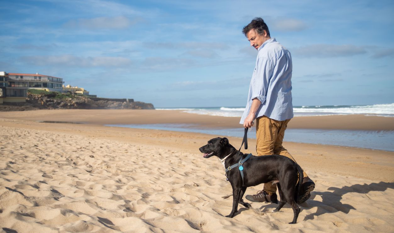 A man enjoys a peaceful walk with his dog along a sunny beach 