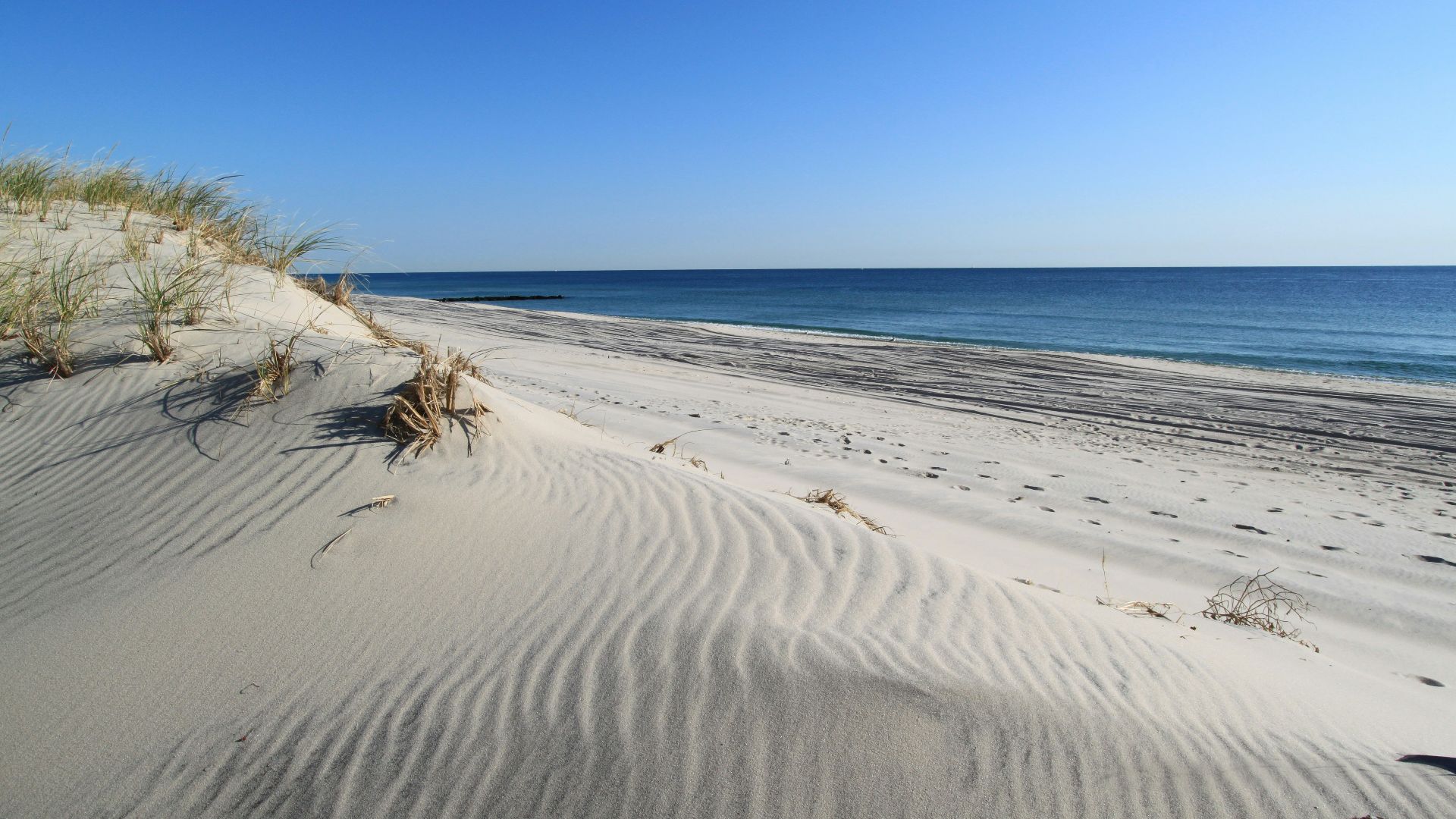 a sandy beach next to the ocean under a blue sky